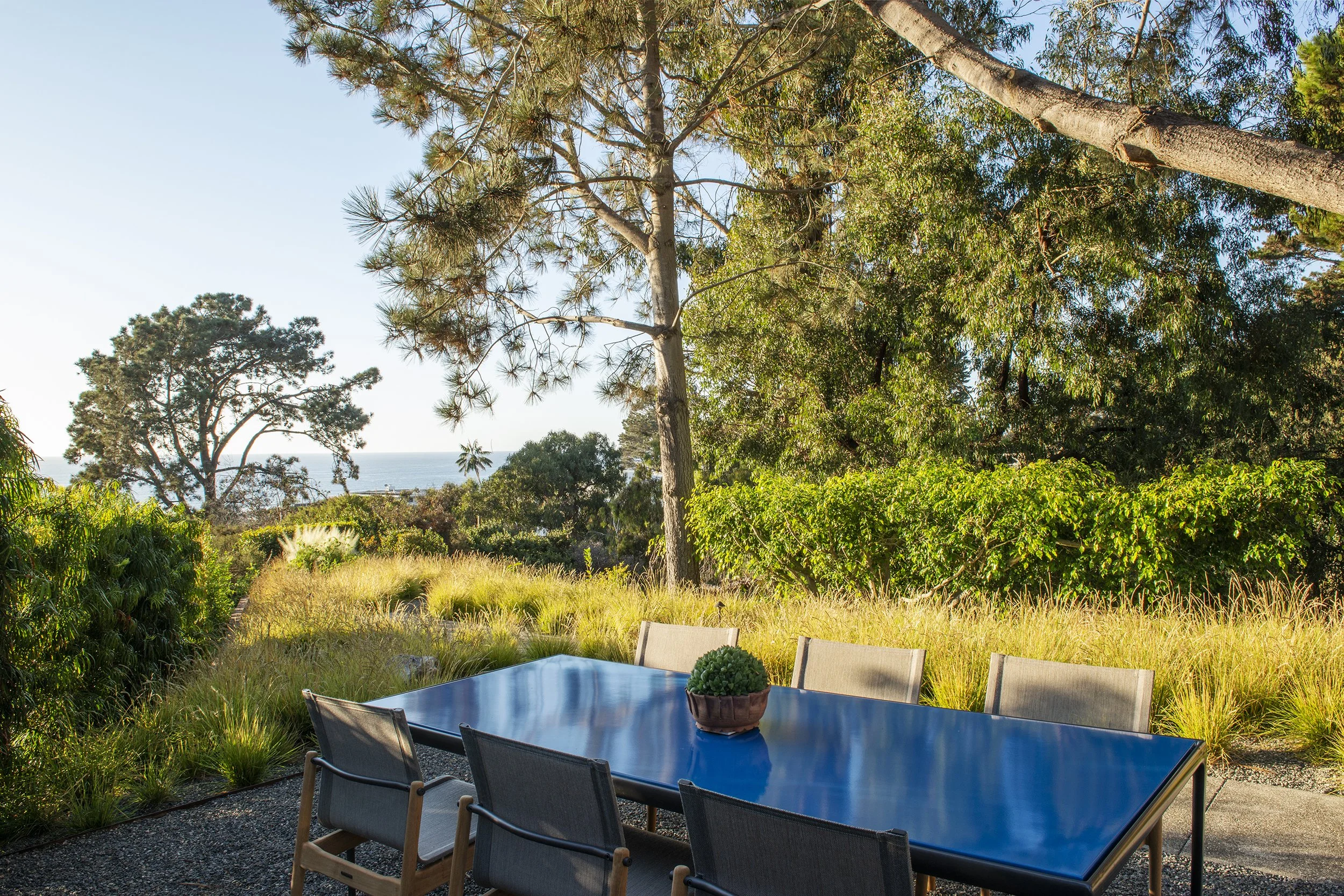 DCAP_GLA_Del Mar_Landscaping_Back_6.jpg