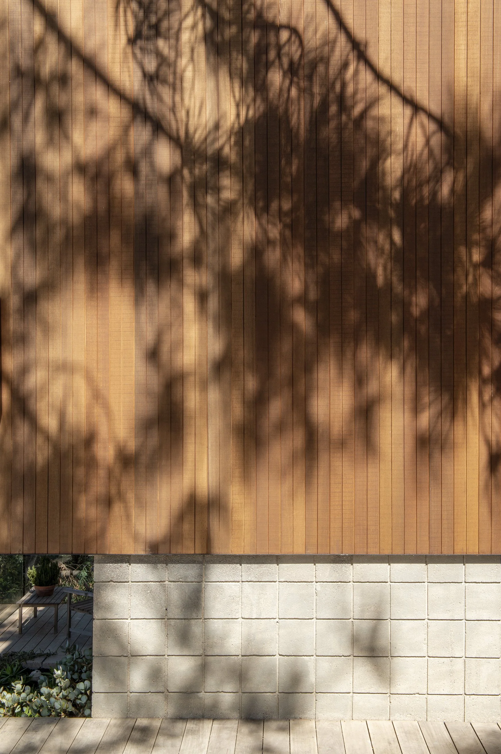 DCAP_GLA_Del Mar_Landscaping_Back_1.jpg