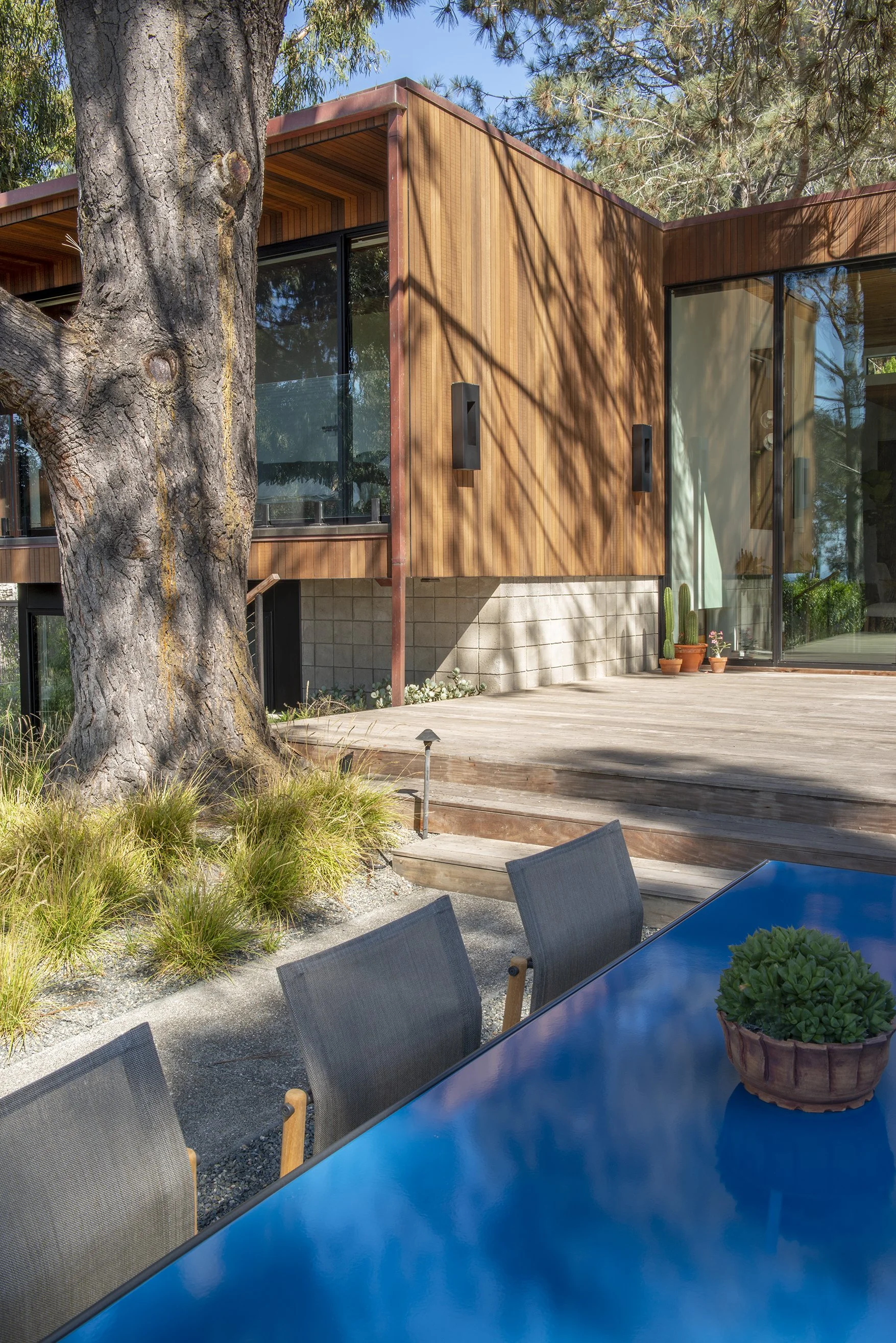 DCAP_GLA_Del Mar_Landscaping_Back_4.jpg