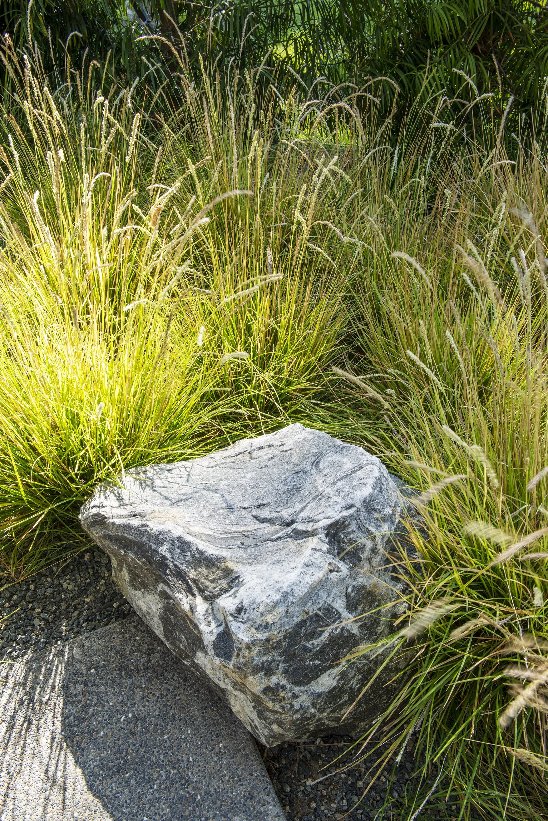DCAP_GLA_Del Mar_Landscaping_Detail_4.jpg