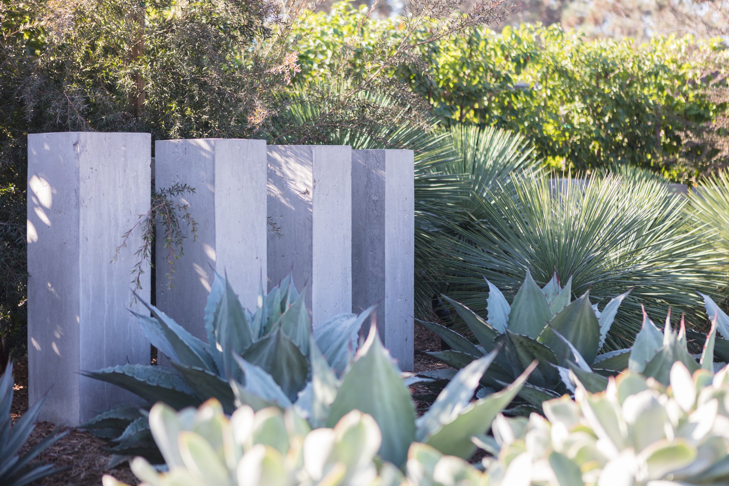 bradley_belyea_torrey pines_6.jpg