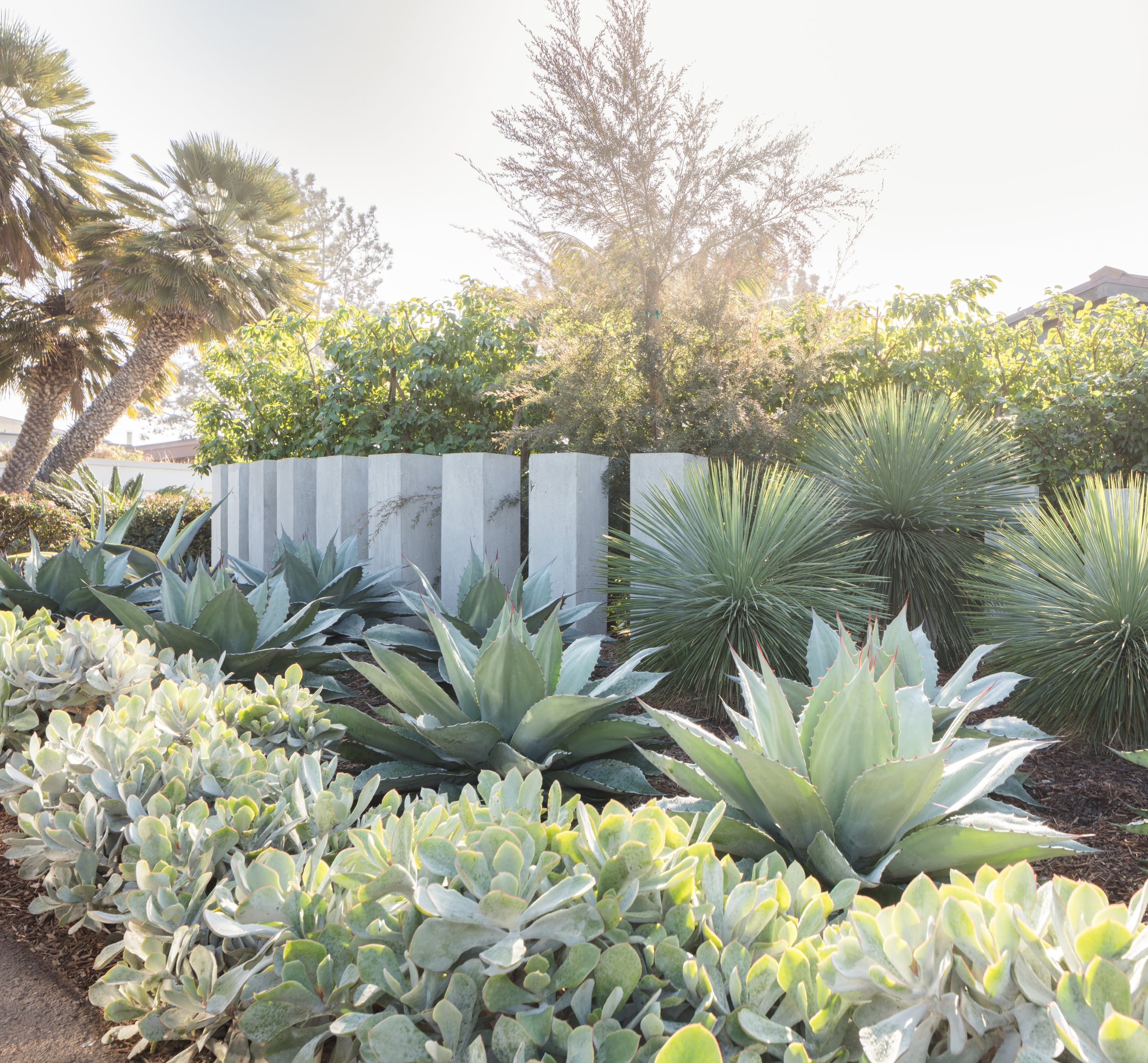 bradley_belyea_torrey pines_square_1.jpg