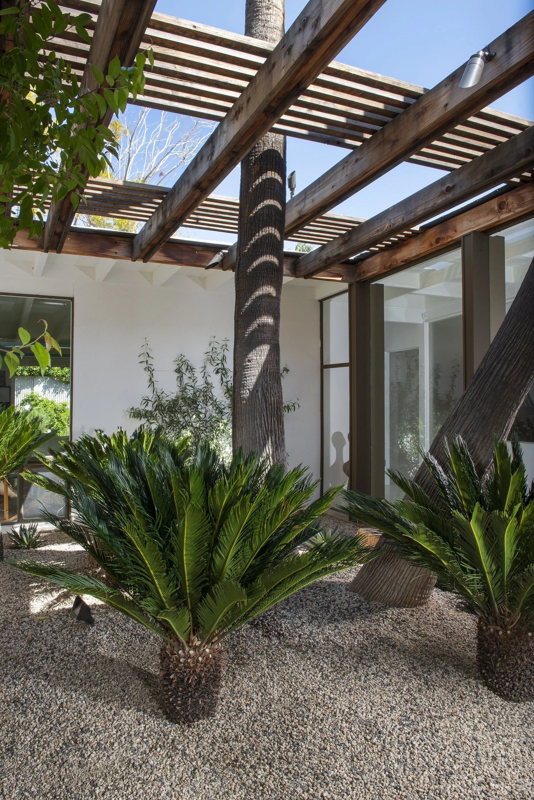 DCAP_Grain Landscaping_Kirk Douglas_Courtyard Day_3.jpg