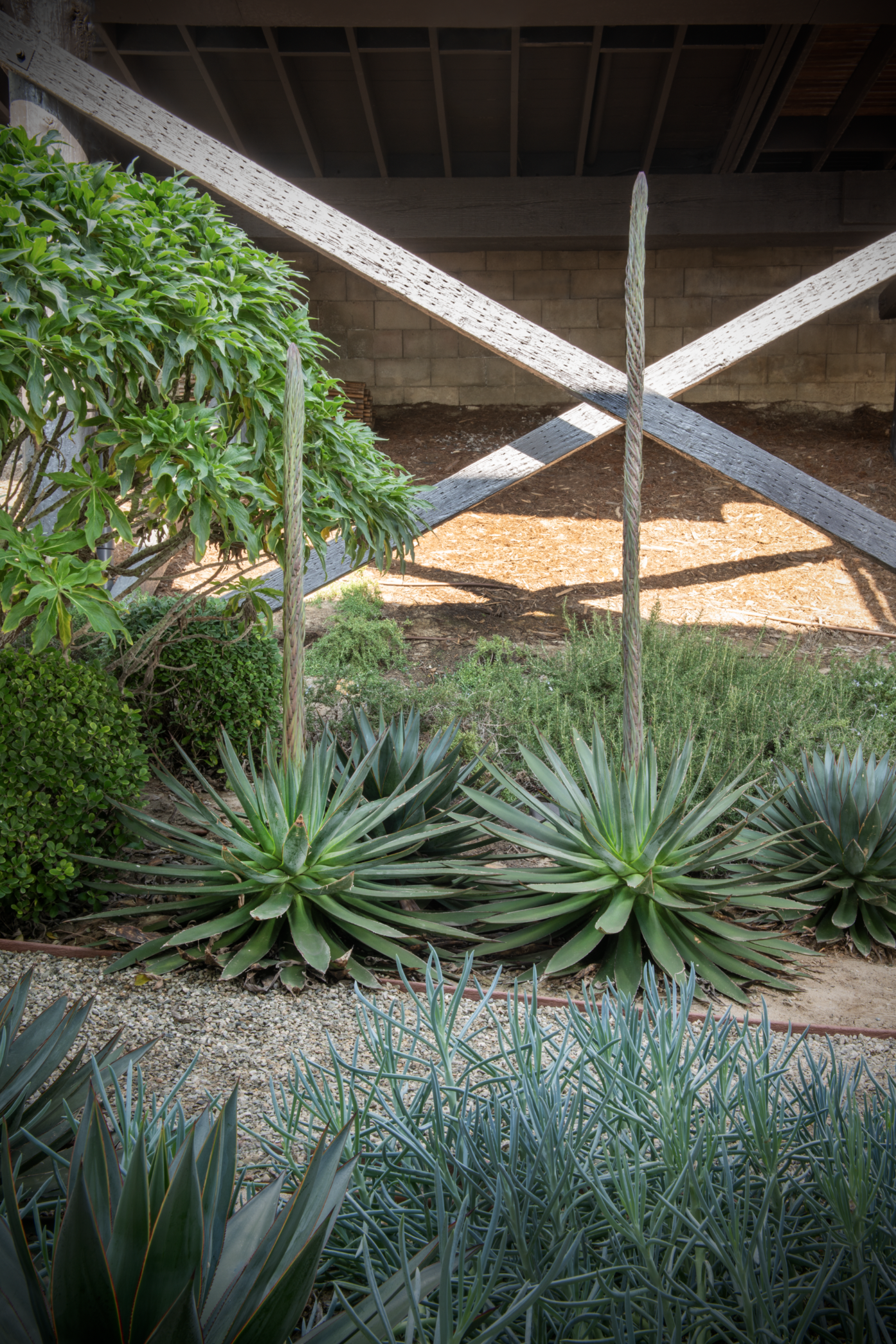 Screen Shot 2024-12-18 at 3.41.00 PM.png