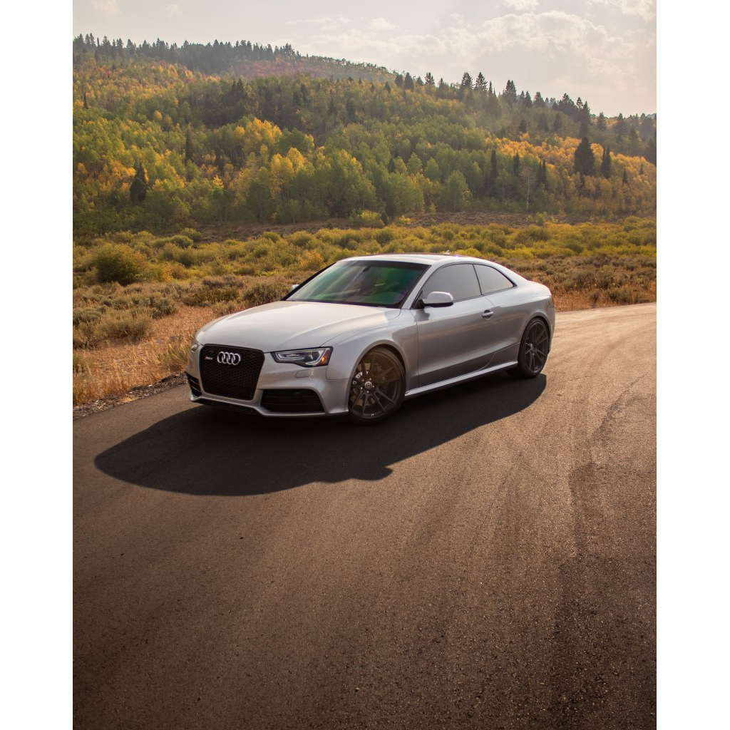 RS5 (B8.5) Vista 1 — Exhibition of Speed