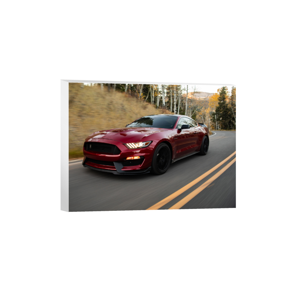 ptq_7_5_395_0_5022_3767_0_false_ffffff_0_0_.png