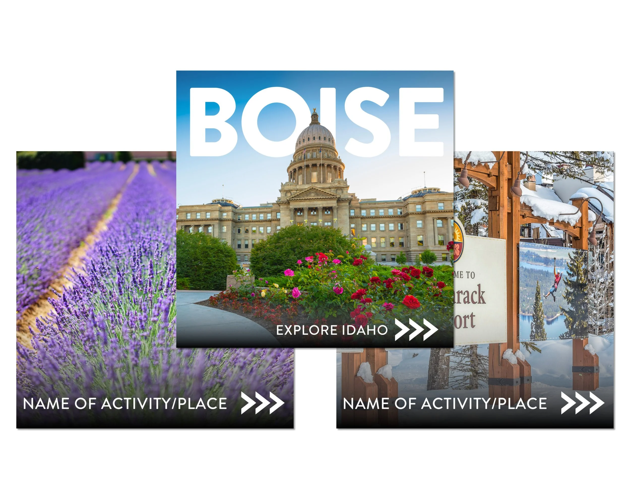 OPTION 4 - Area Highlight