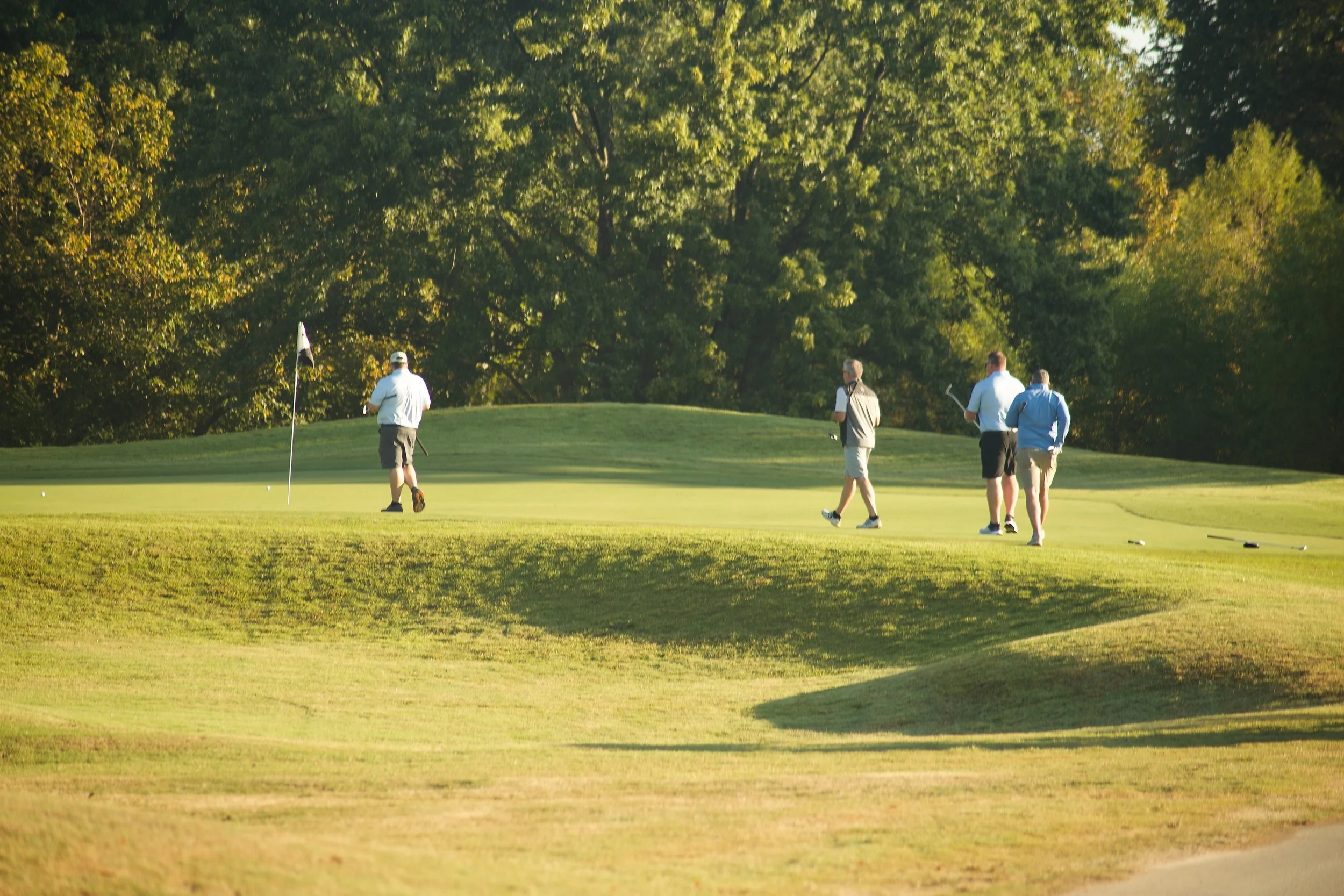 Four men playing golf on a lush green course with trees in the background, during what appears to be late afternoon or early evening.