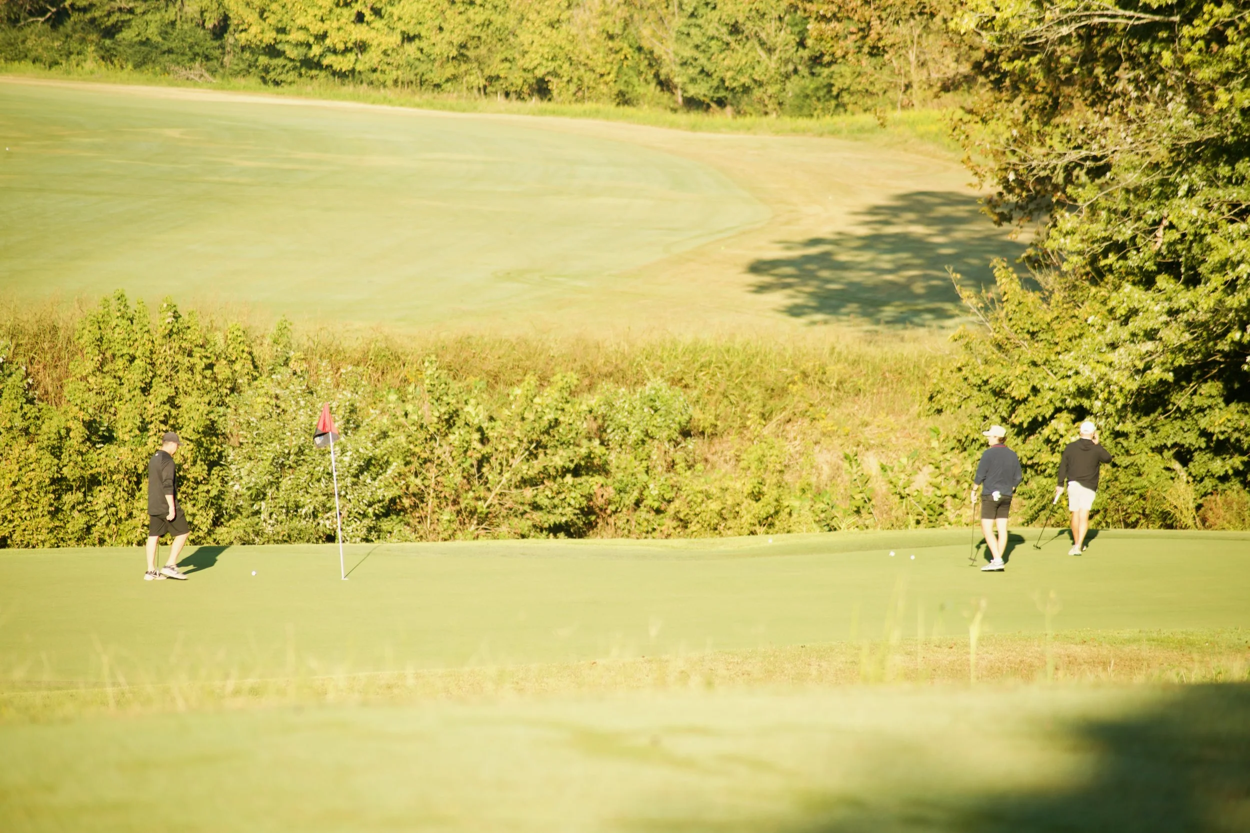 Four people playing golf on a green course with trees and a pond in the background.