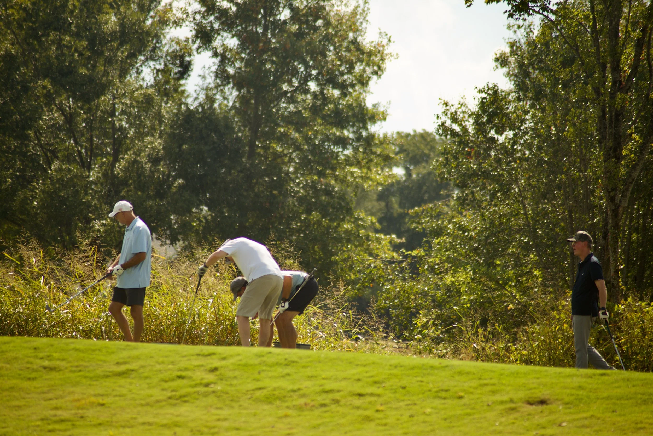 People playing golf on a course with green trees in the background.