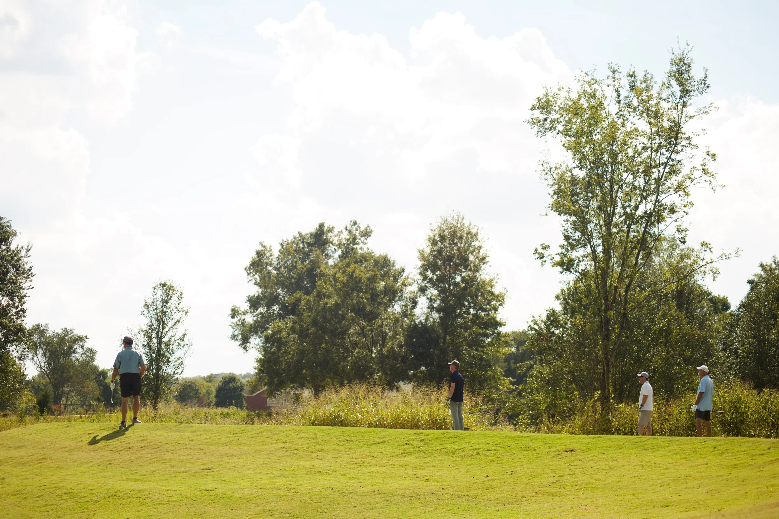 People playing golf outdoors on a sunny day with green grass and tall trees in the background.