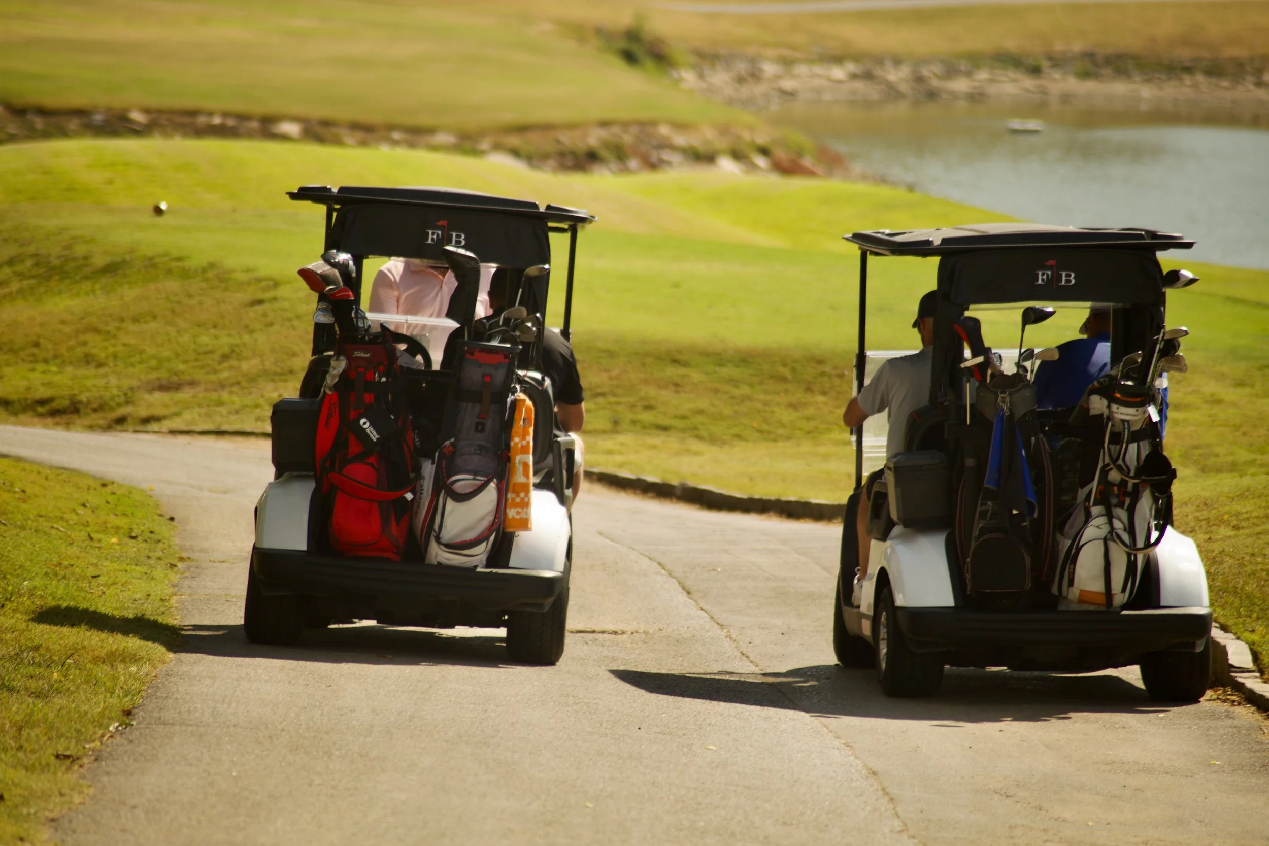 Two golf carts with bags of golf clubs parked on a pathway near a golf course, with a lake and green hills in the background.