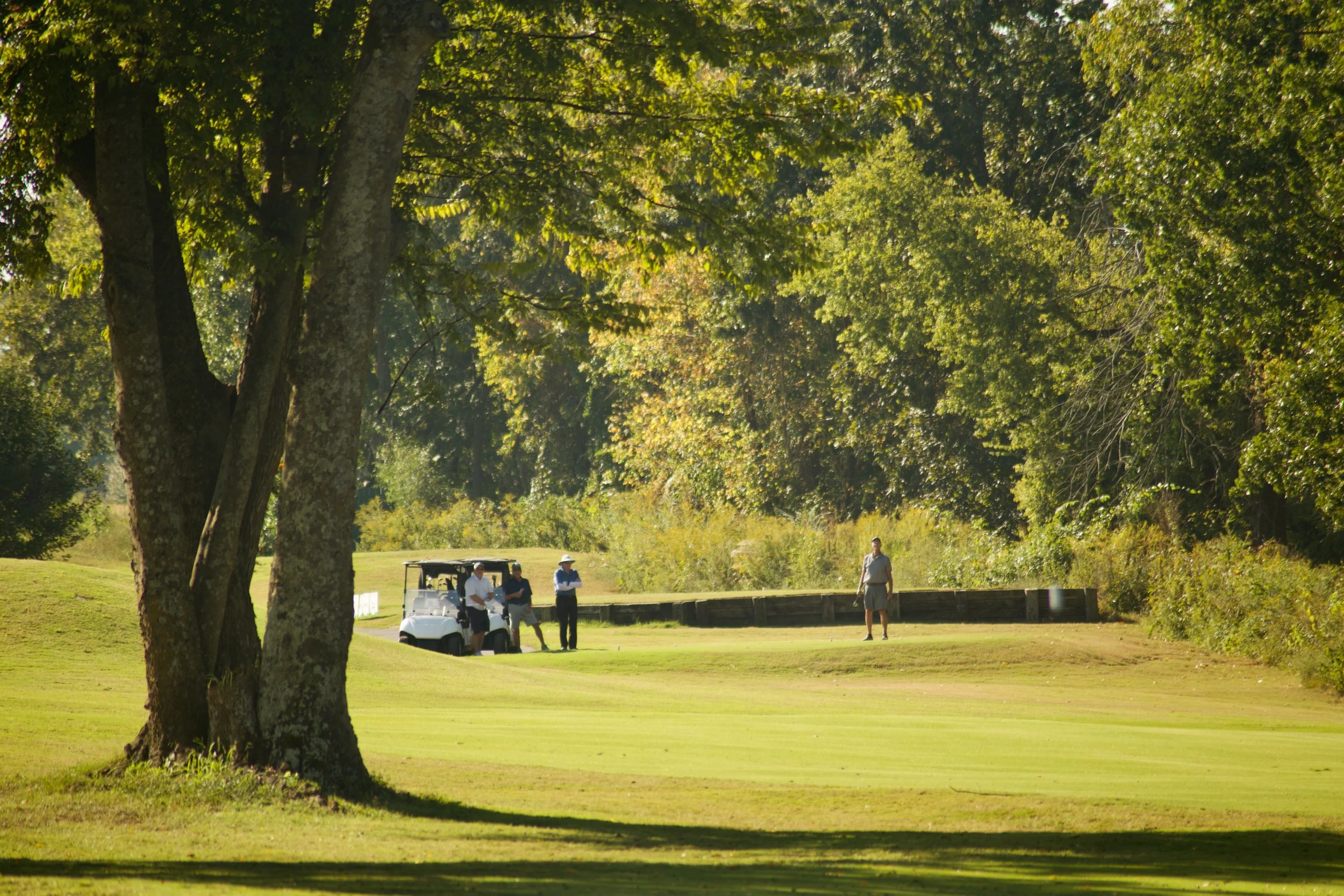 People playing golf on a lush golf course surrounded by tall trees and greenery on a sunny day.