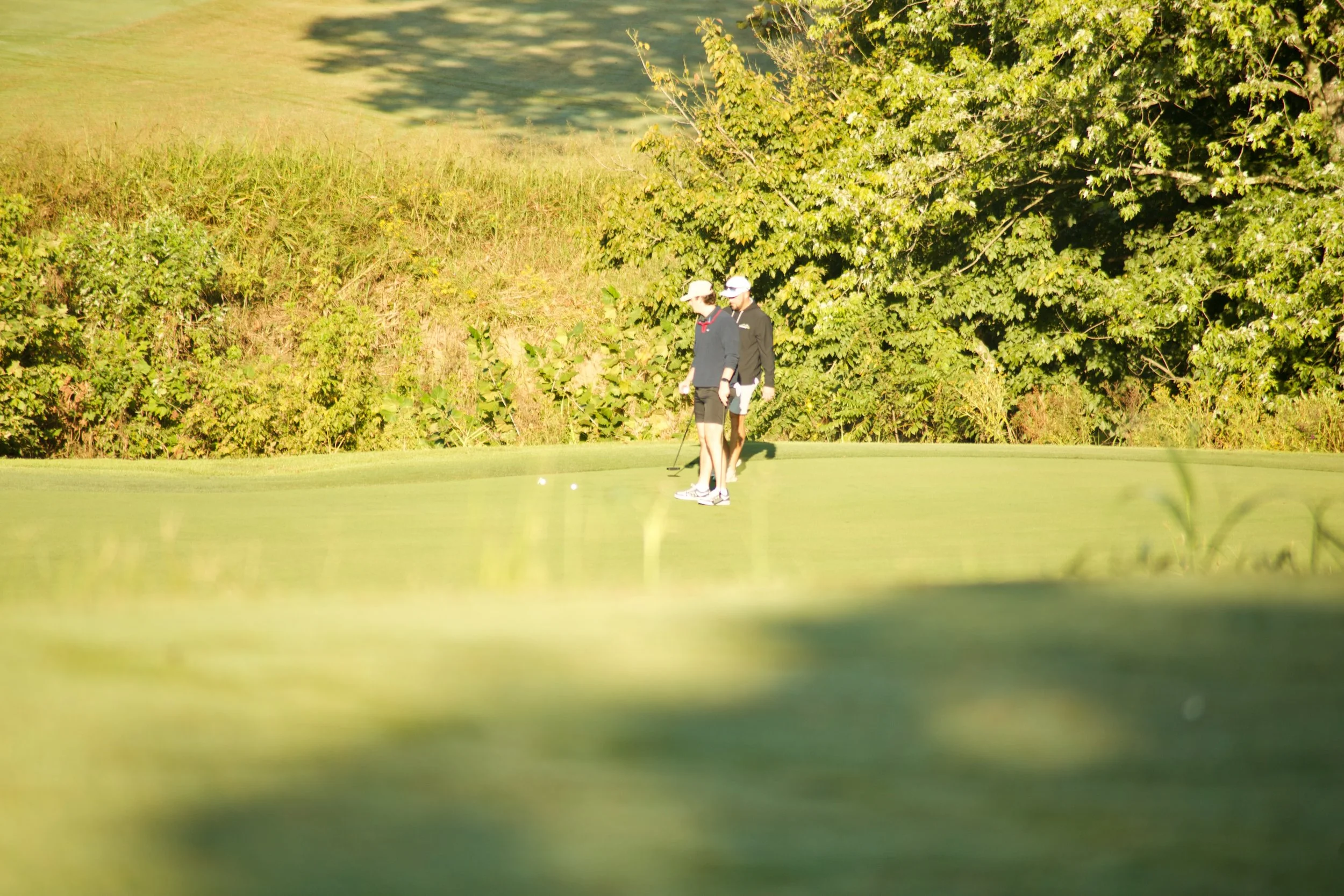 Two people playing golf on a green course with trees and bushes in the background.