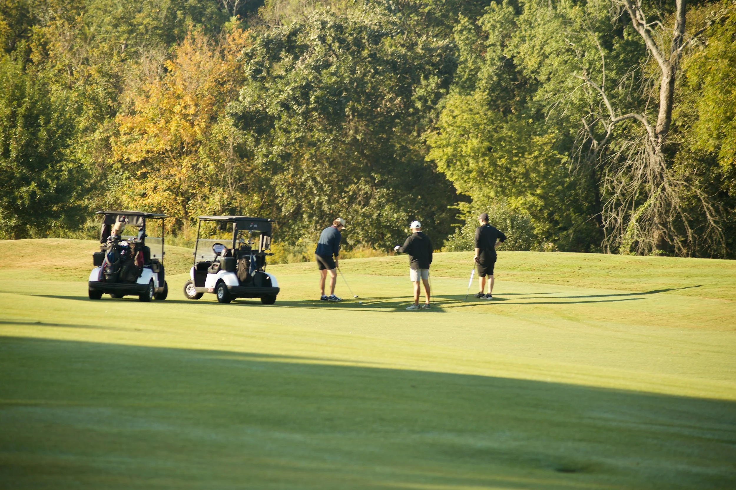 Four men playing golf on a lush green golf course, with two golf carts parked nearby and trees in the background.