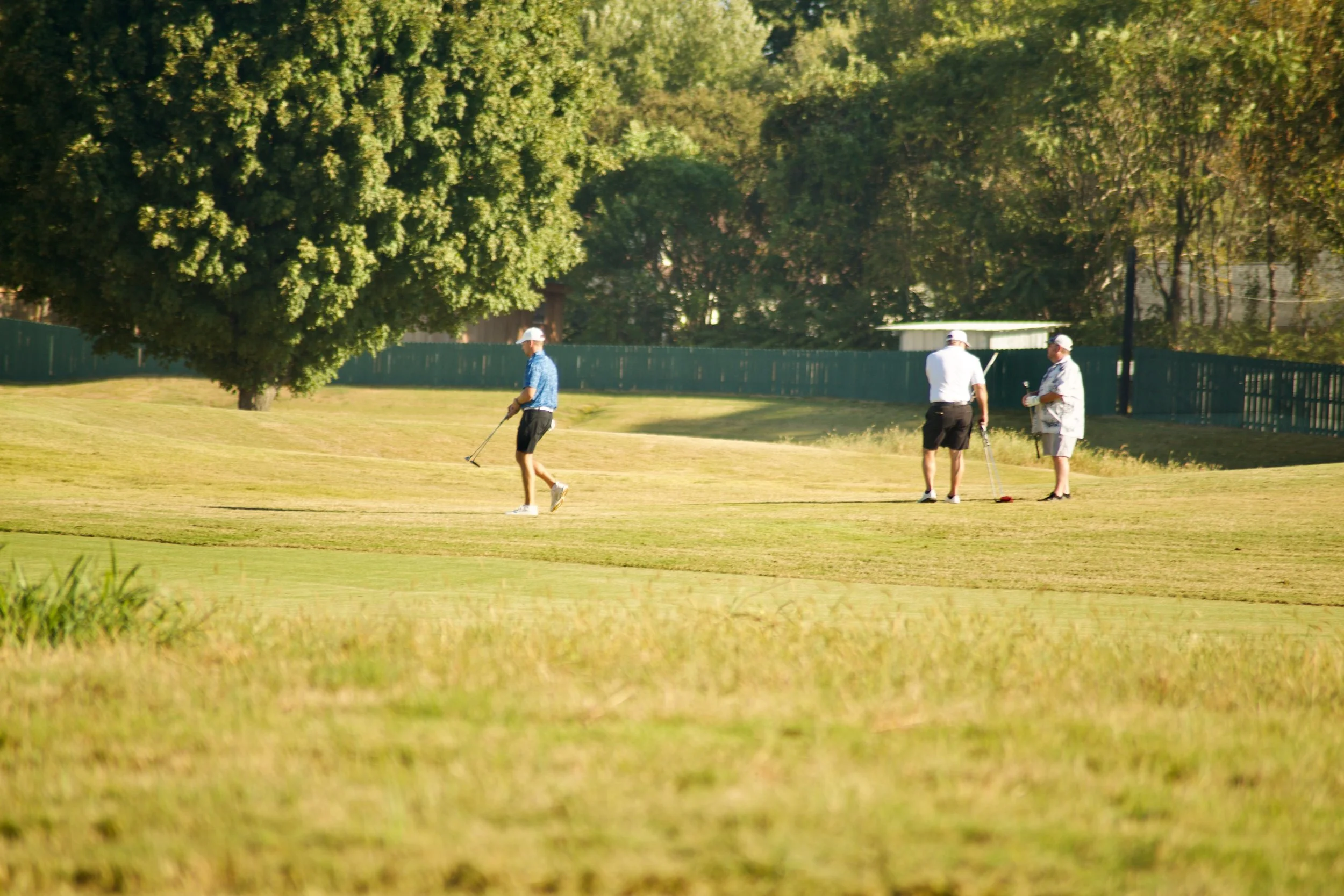 Three men playing golf on a sunny day, surrounded by green trees and a fence in the background.