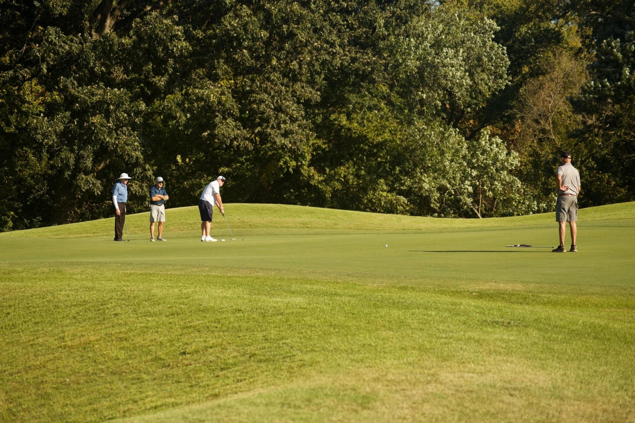 Four men are playing golf on a lush green course with a background of dense trees.