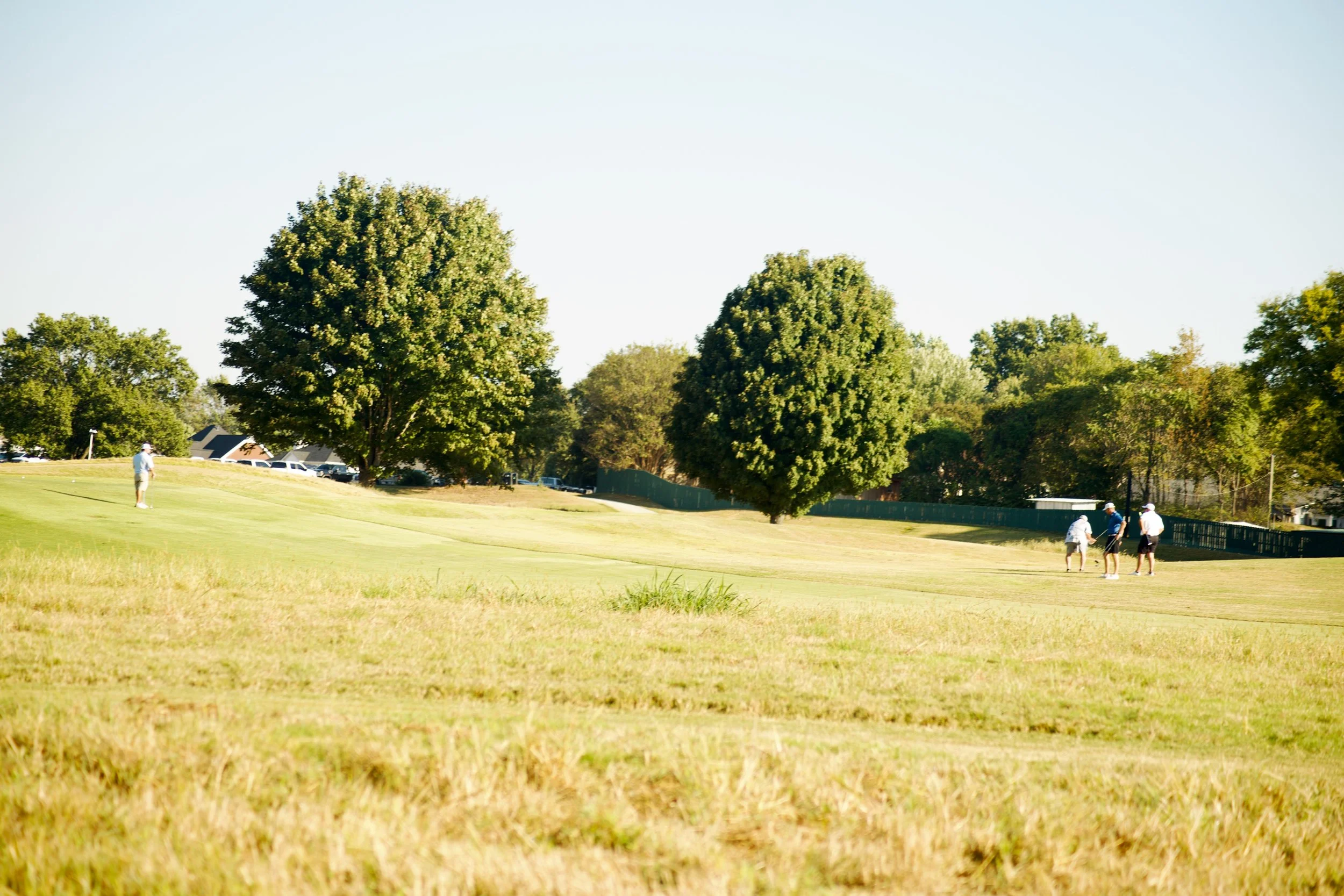 A group of four people playing golf on a golf course with green grass and tall trees in the background.