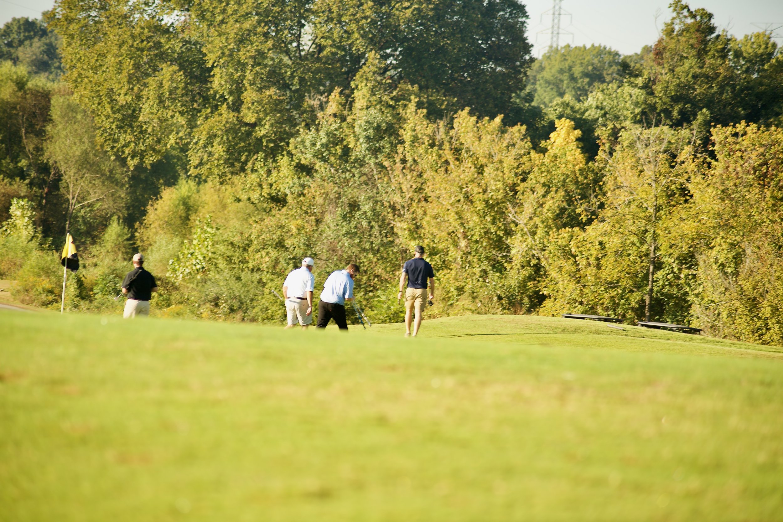 A group of five people playing golf on a lush green golf course surrounded by tall trees.