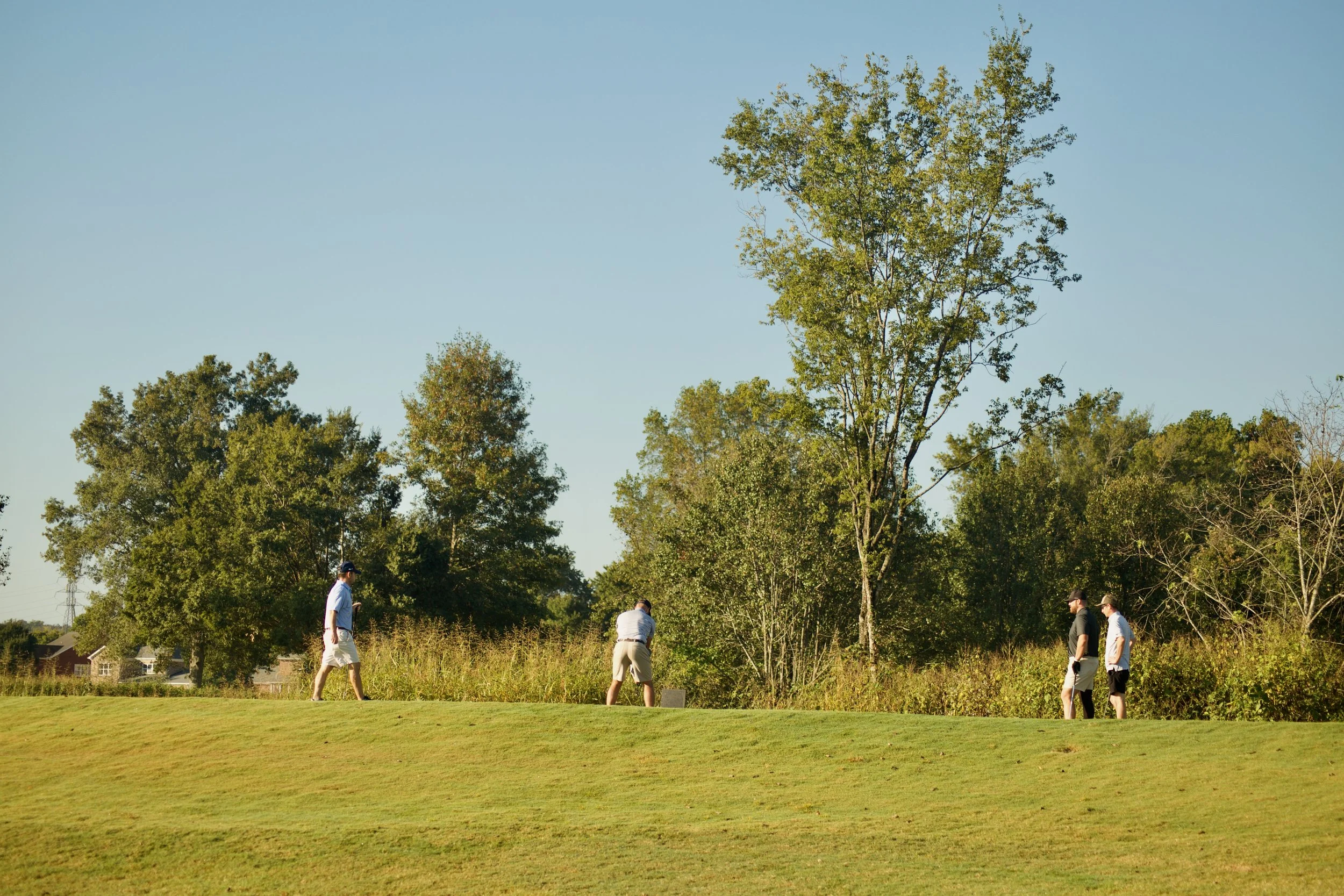 Four people are playing golf on a sunny day in a grassy area with trees in the background.