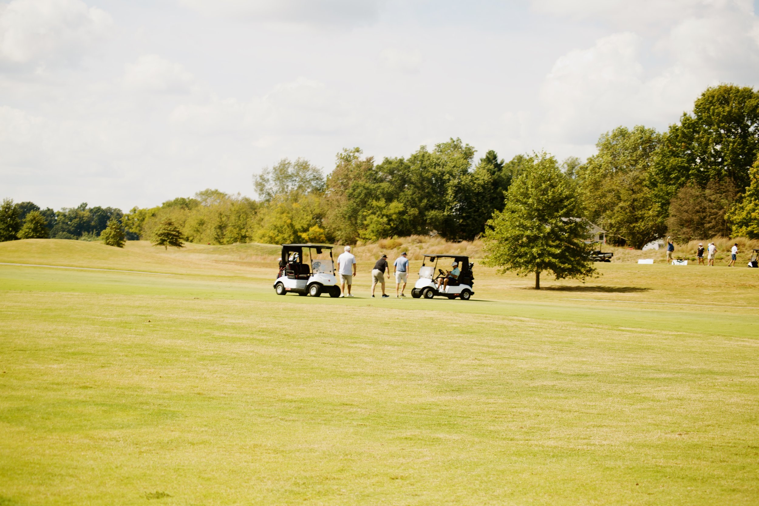 People playing golf on a lush course with golf carts and trees under a partly cloudy sky.