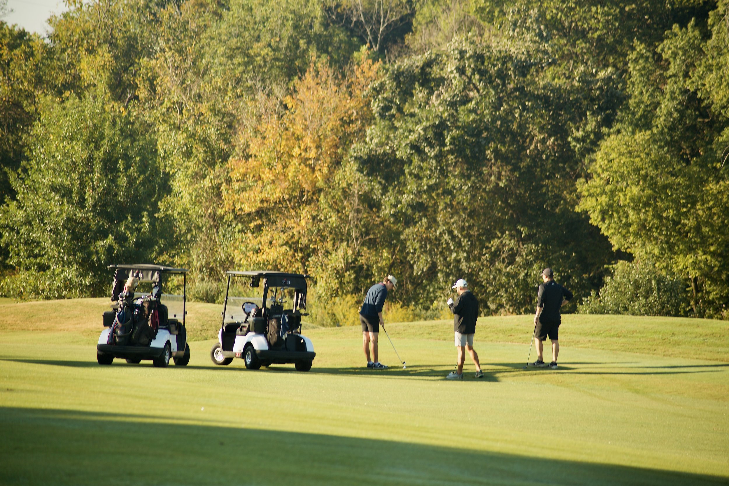 Four men playing golf on a lush green golf course with tall trees in the background, and three golf carts parked nearby.