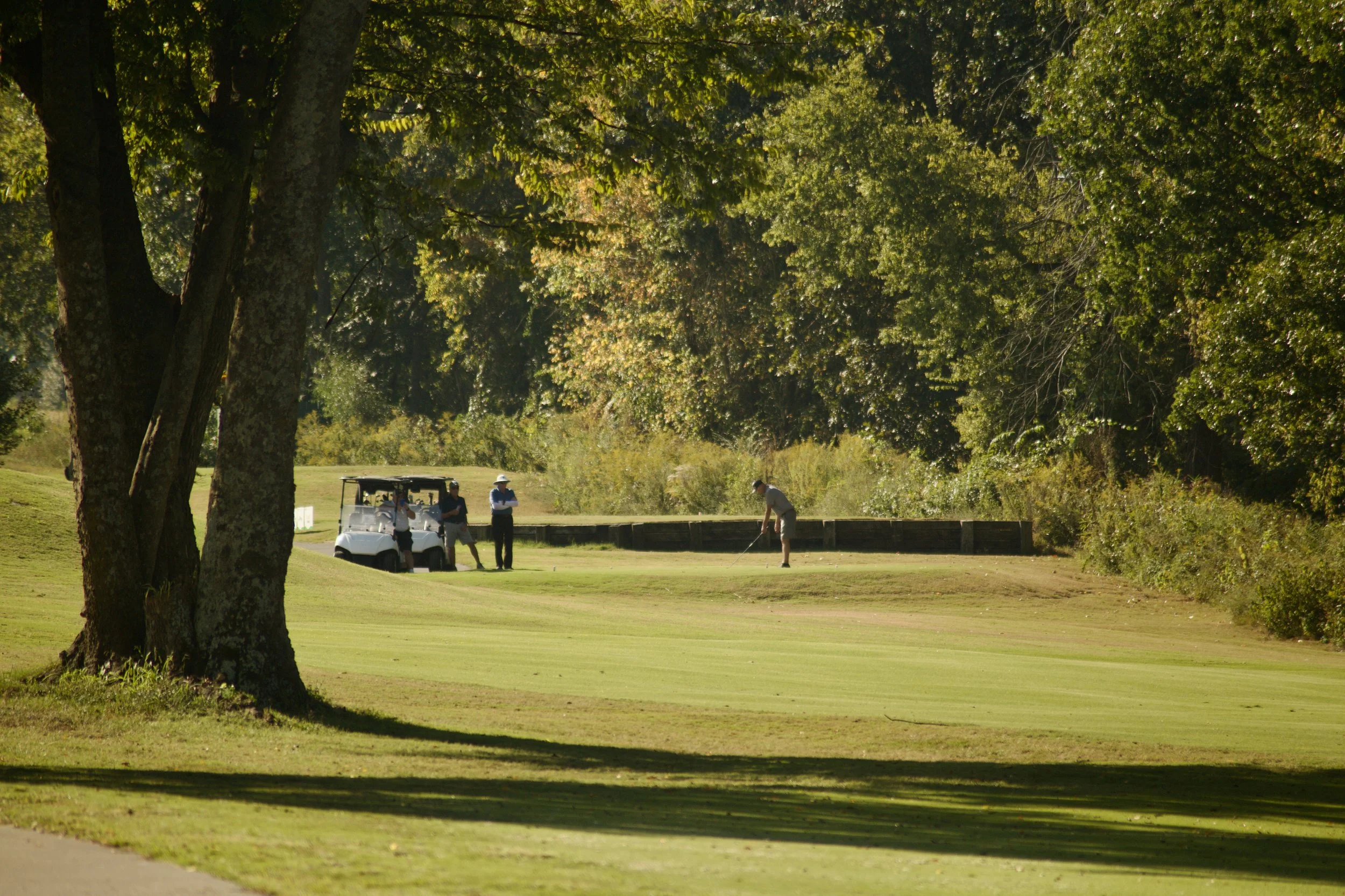 Three people playing golf on a course surrounded by trees and greenery, with a golf cart nearby.