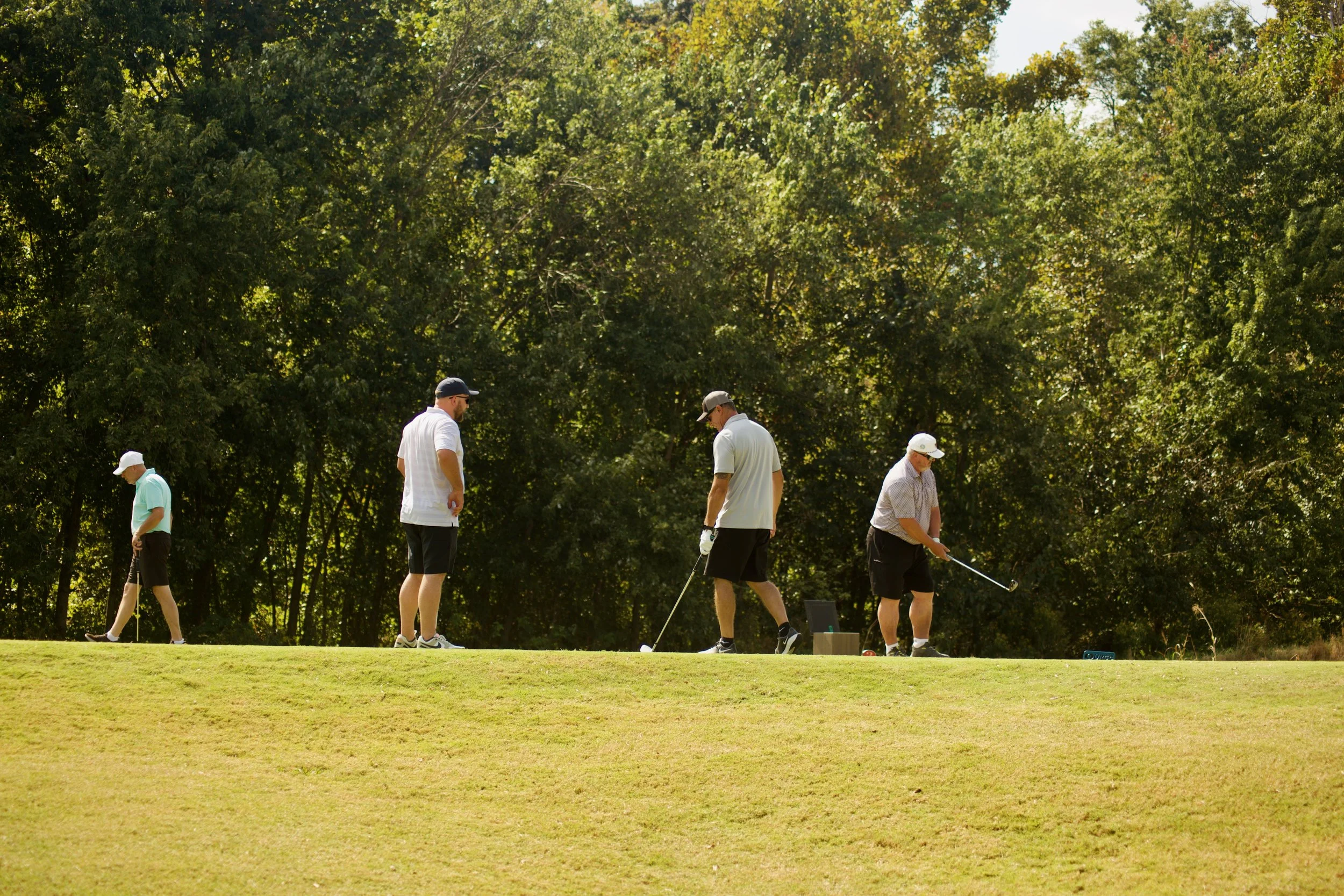 Group of people playing golf on a sunny day in a park with green grass and tall trees.