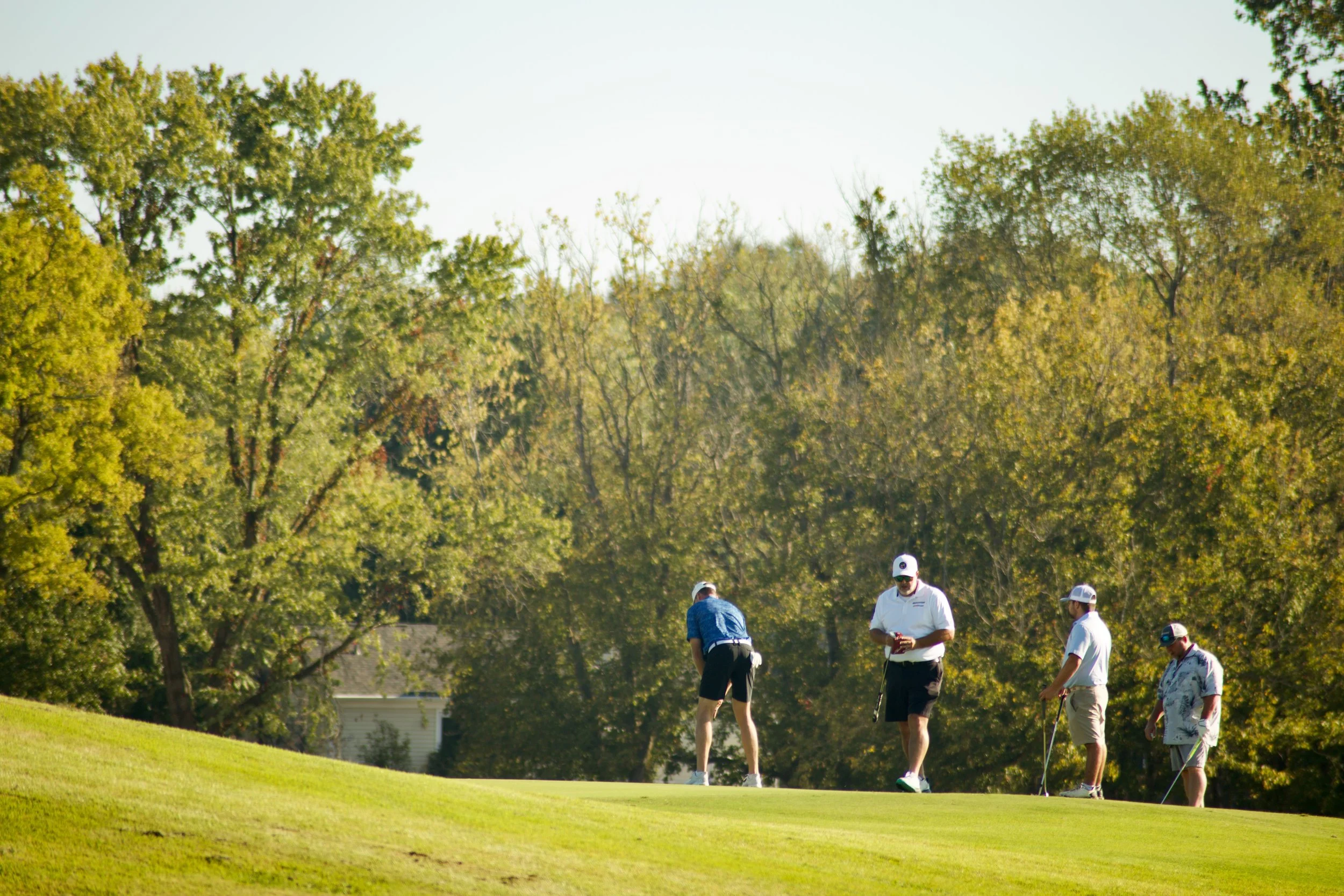 A group of people playing golf on a sunny day with green trees in the background.