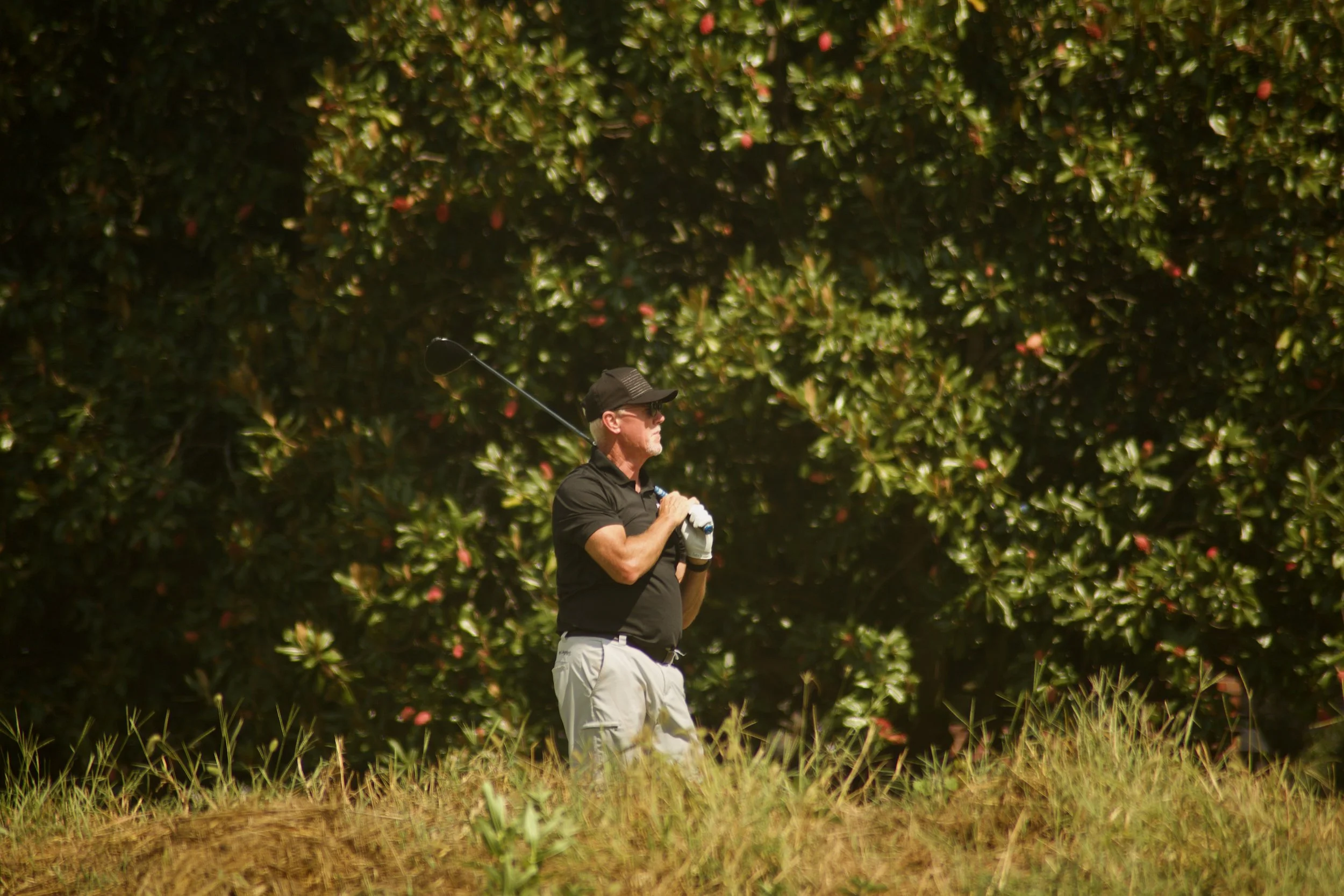 A man in a black shirt, white pants, and a black cap playing golf on a golf course with tall green bushes in the background.