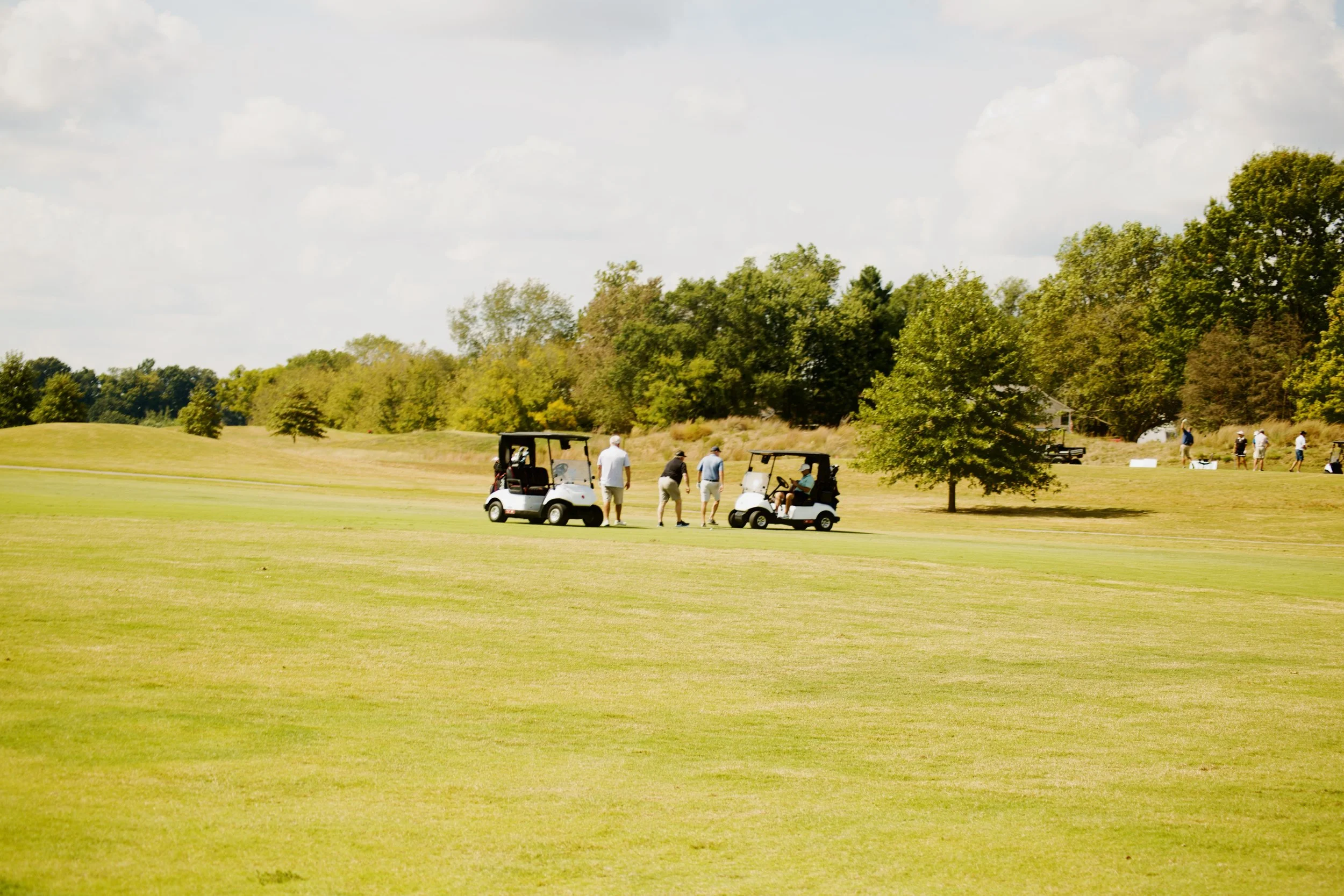 A group of people playing golf on a sunny day, with two golf carts and lush green scenery.