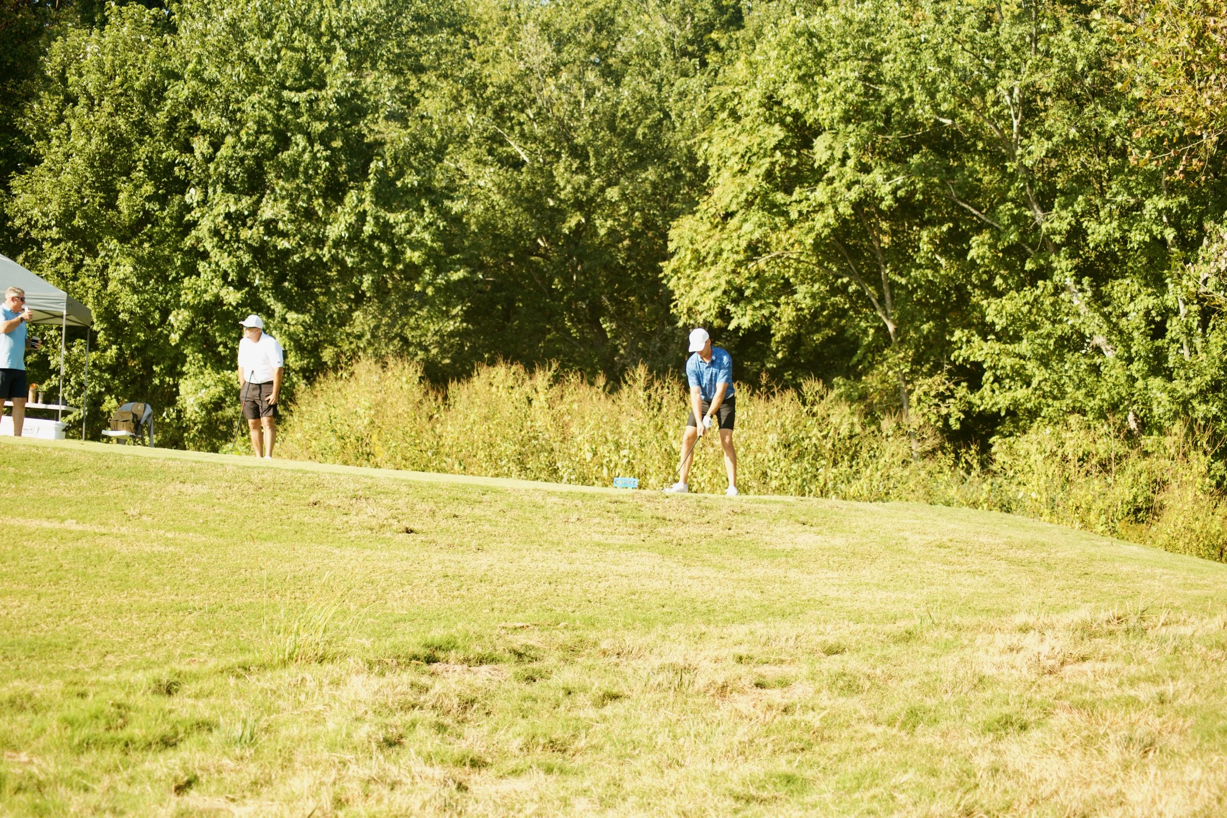 People playing golf on a course with lush green trees in the background.