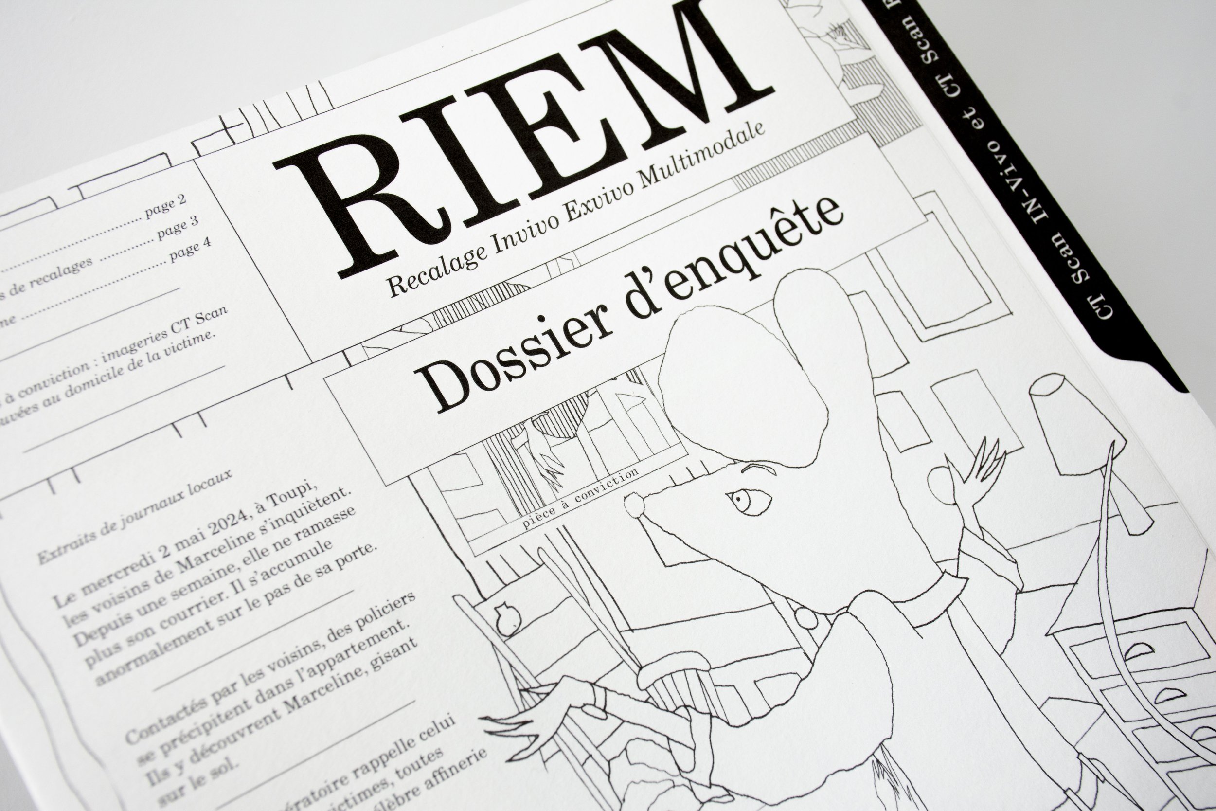 RIEM : Dossier d'enquête