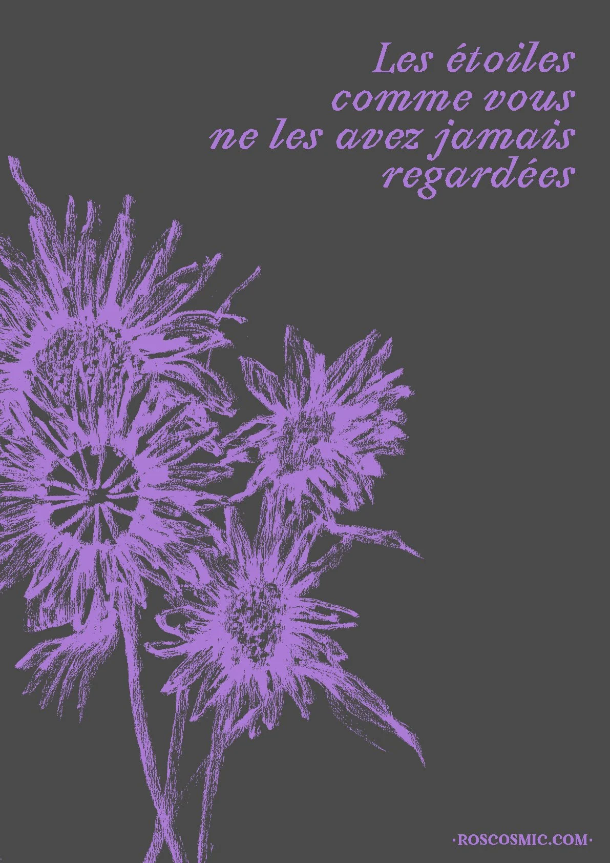 Posters propa roscosmique7.jpg