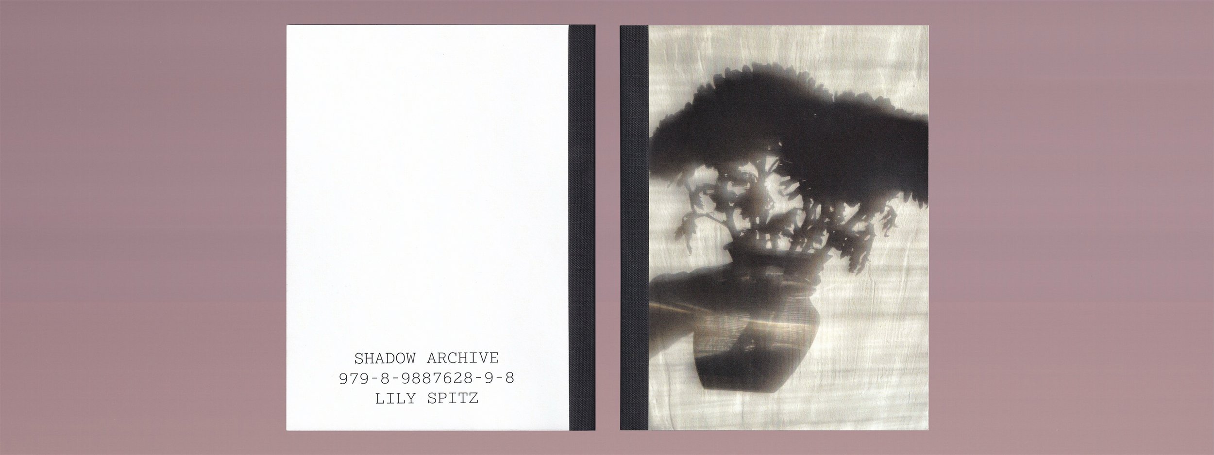 Shadow Archive by Lily Spitz