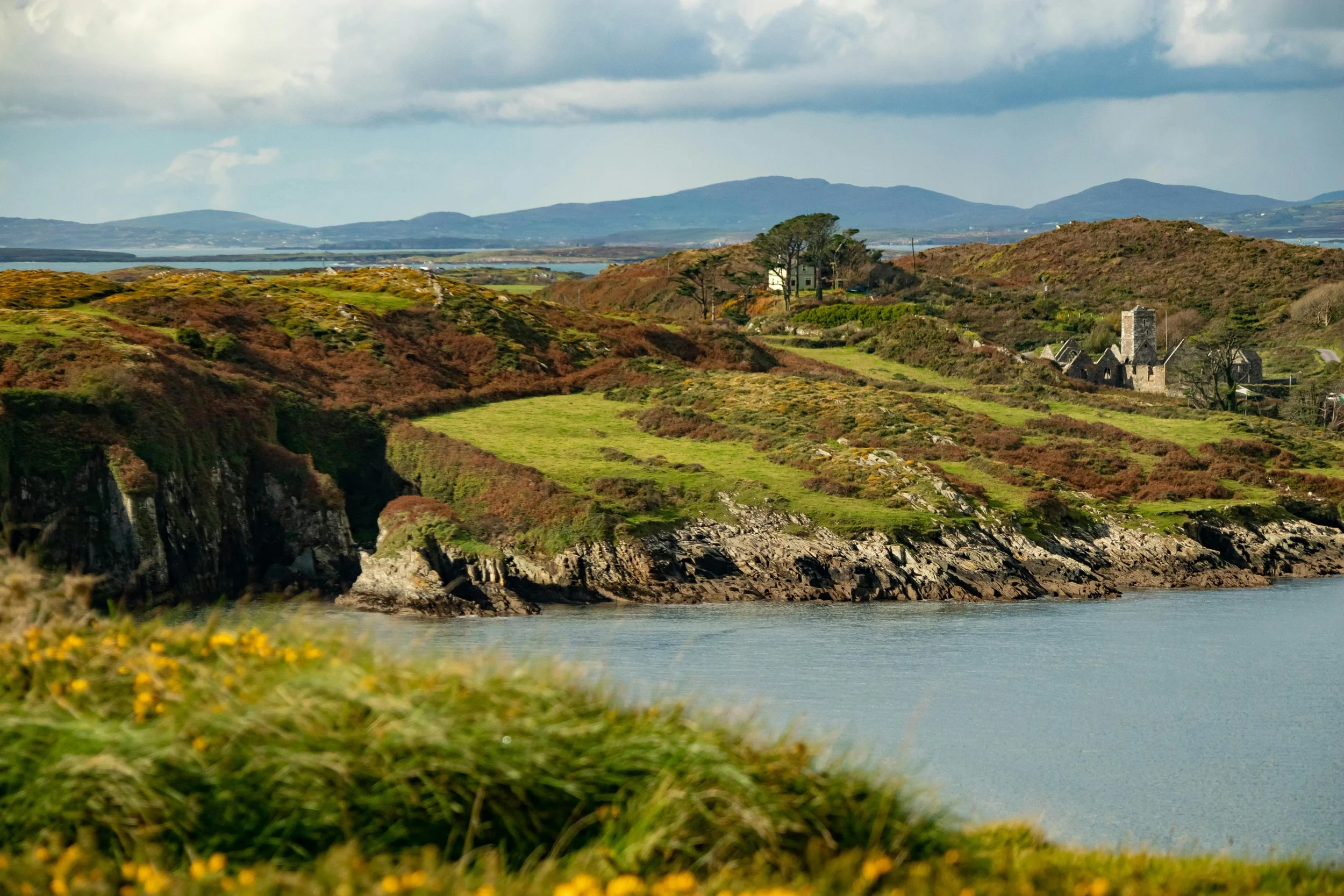 Step 7: Design from Patterns to Details - The 12 Regenerative Marketing Principles 