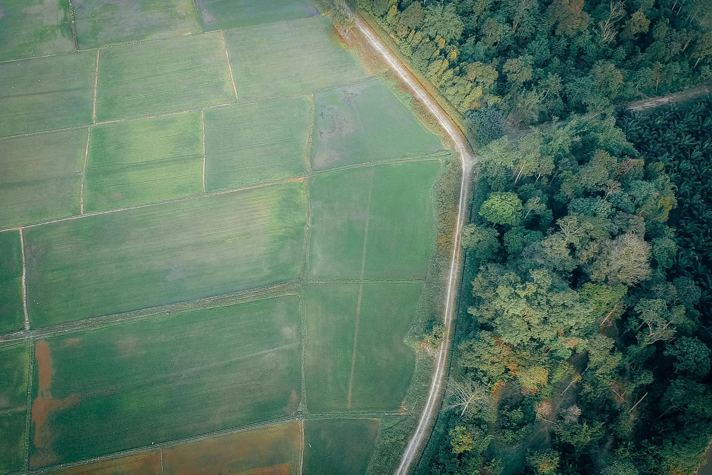 Step 10: Use &amp; Value Diversity - The 12 Regenerative Marketing Principles