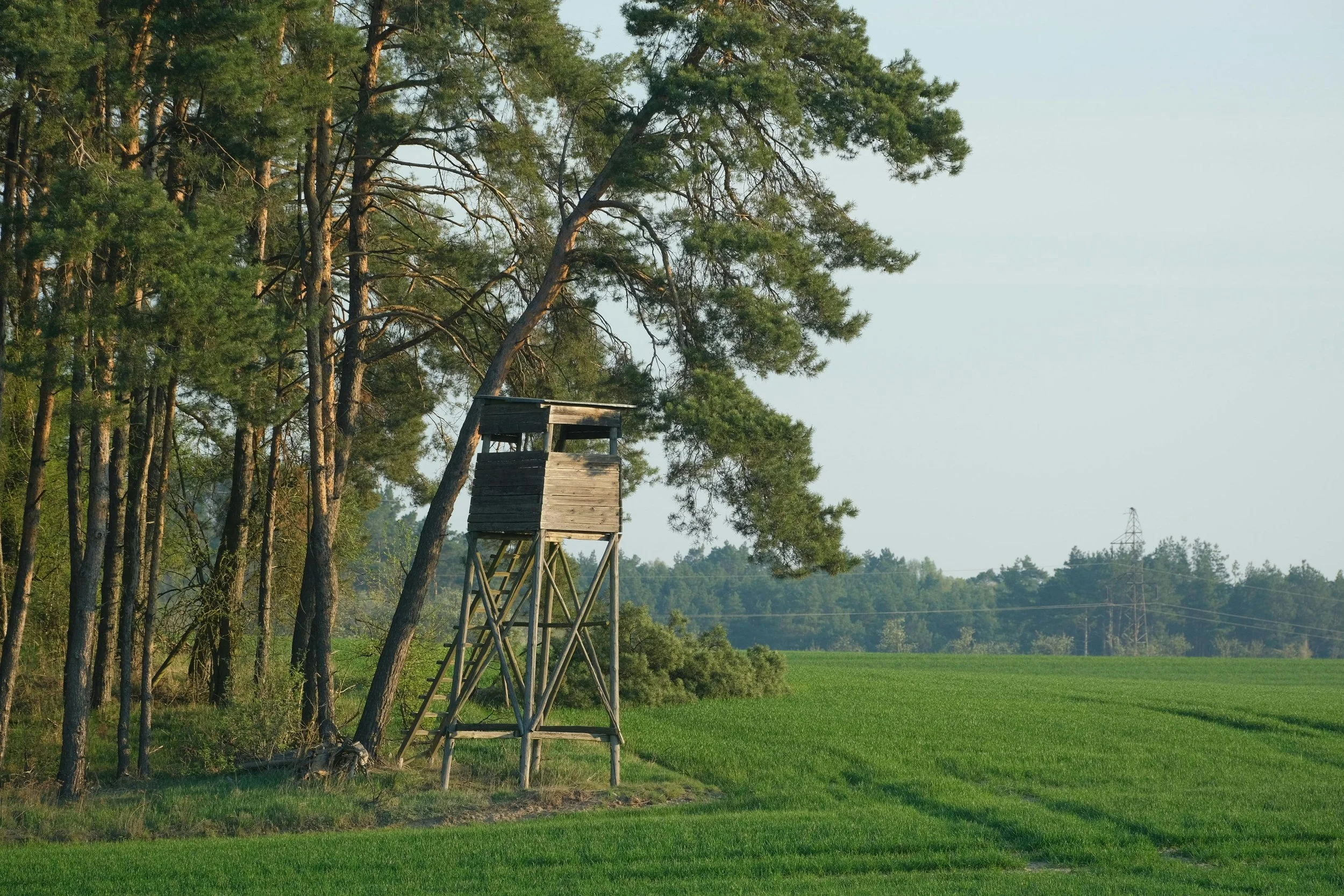 Step 11: Use Edges &amp; Value the Marginal - The 12 Regenerative Marketing Principles 