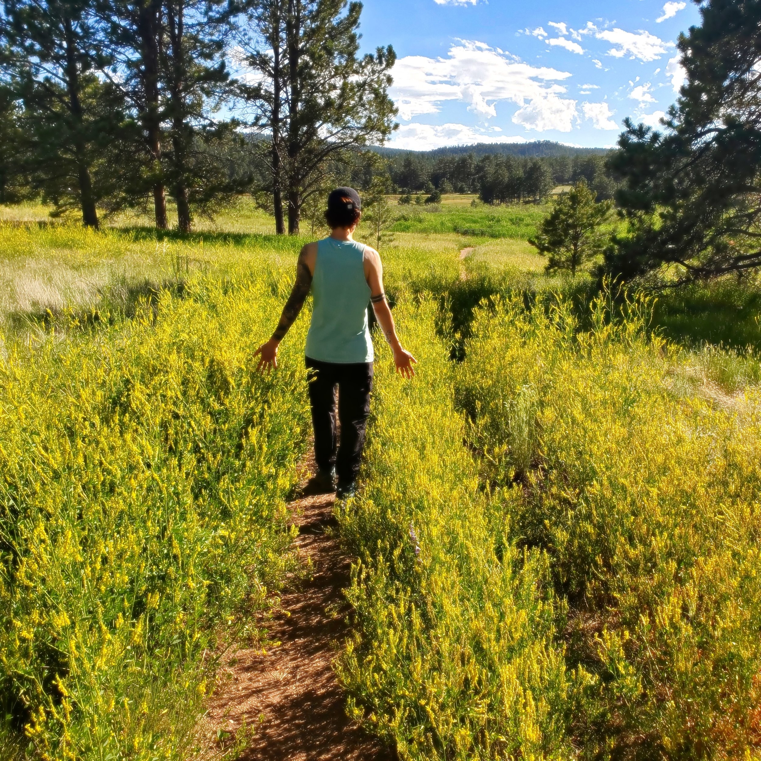 Person walking on a narrow dirt trail through a lush, yellow-green field with trees and mountains in the distance under a blue sky with white clouds.