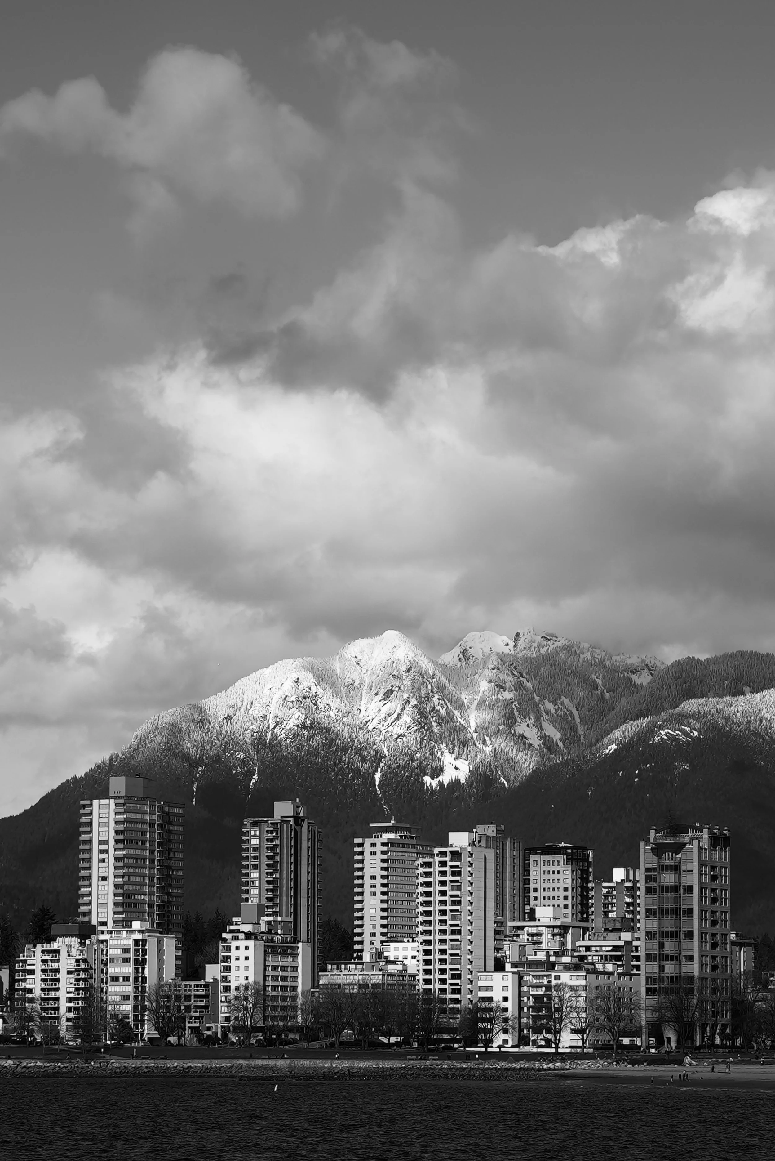 DSC02100.jpg