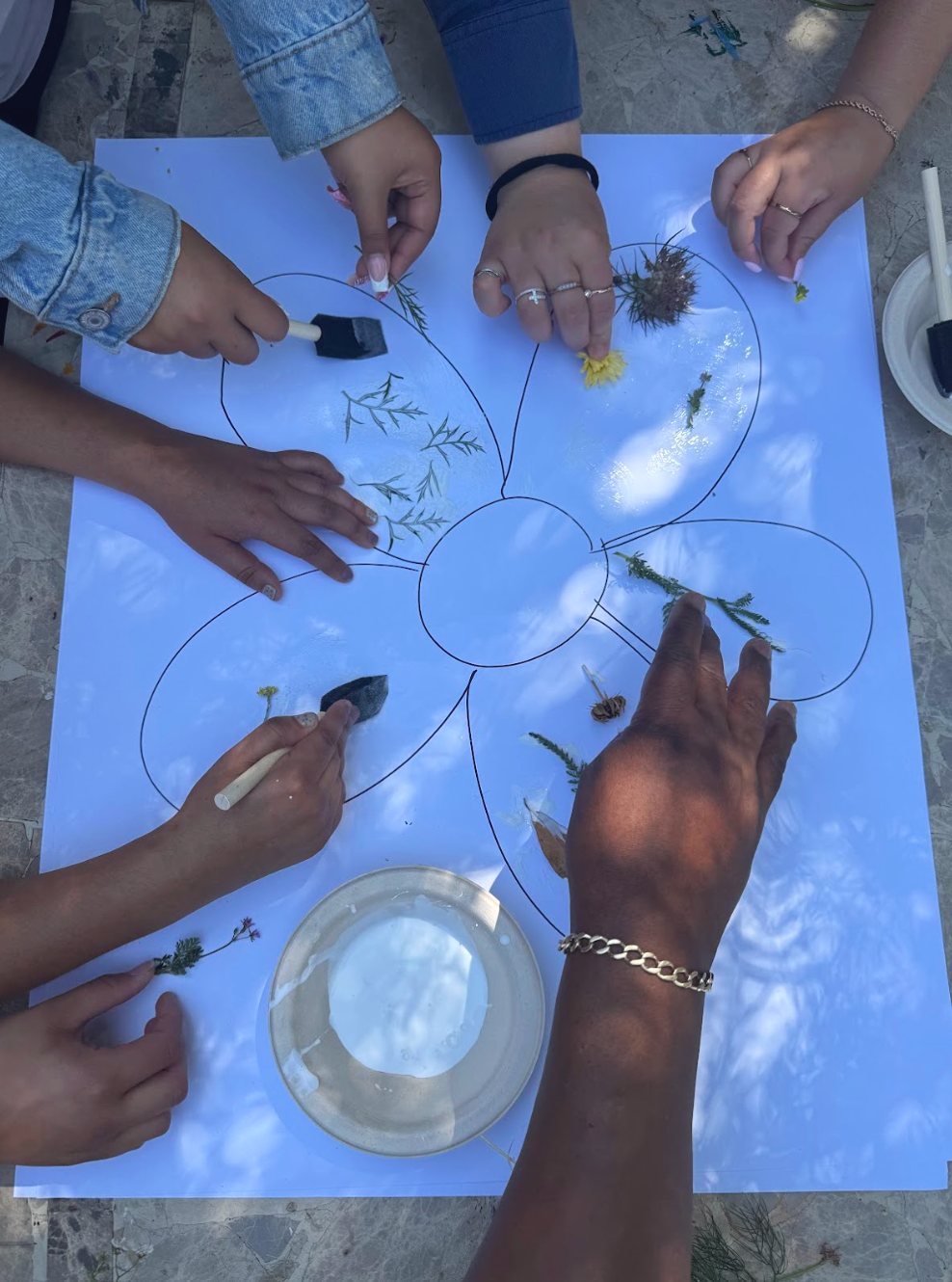 Several people are gathered around a large sheet of paper with a flower diagram drawn on it, using small pressed flowers and plant parts to fill in the diagram.