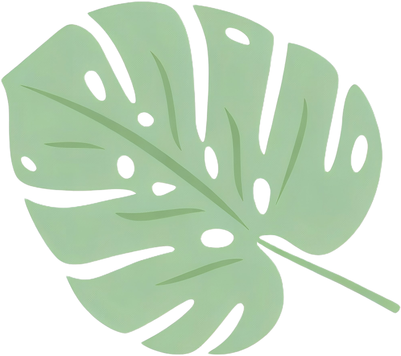 Illustration of a large green Monstera leaf with distinctive holes and splits.