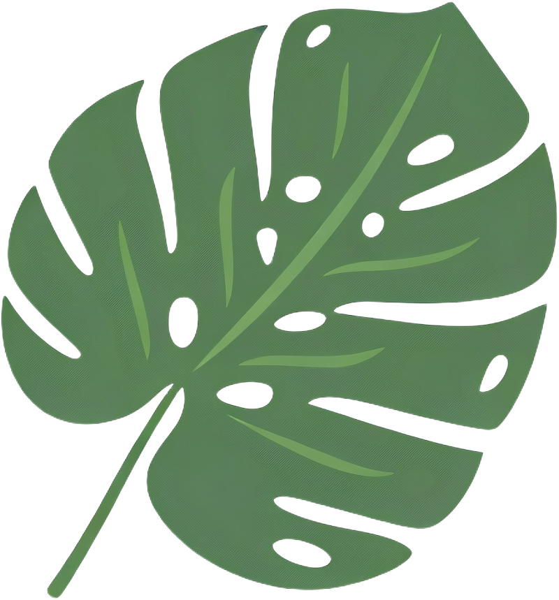 Illustration of a green Monstera leaf with distinctive holes and split edges.
