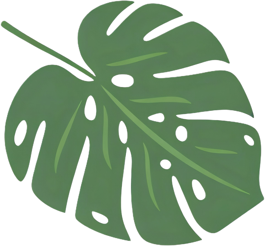 Illustration of a large green tropical Monstera leaf with characteristic split and hole pattern.