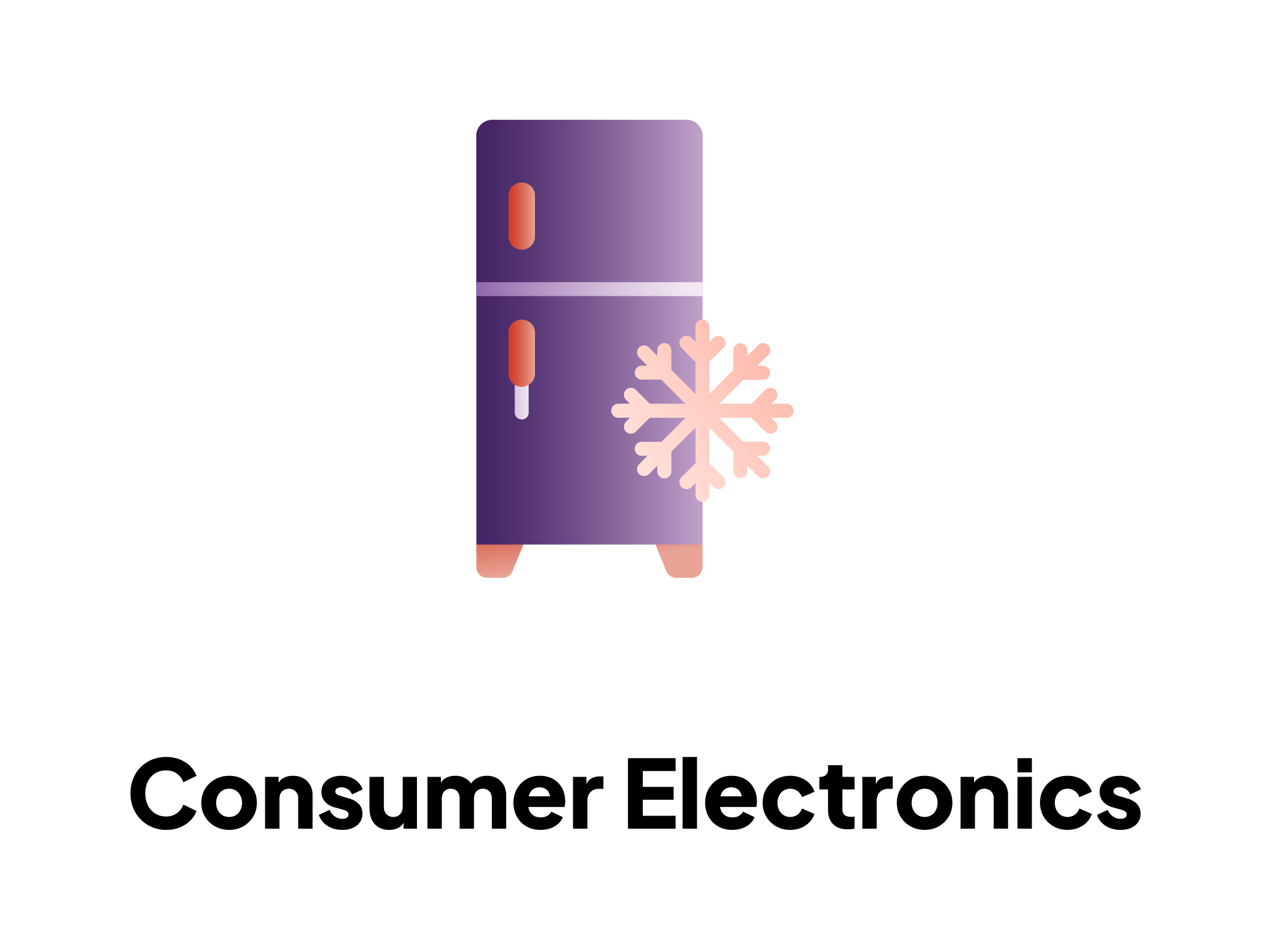 6_Consumer Electronics .png