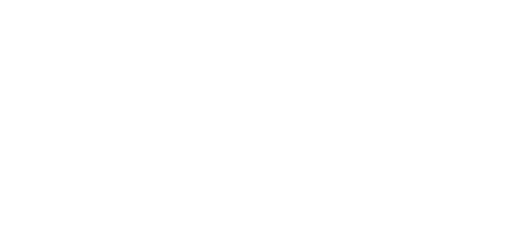 Logo_Openx_W2.png