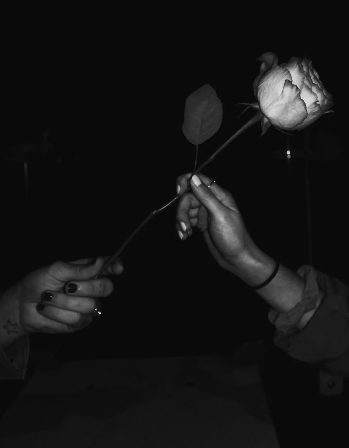 Two hands holding a single rose with a leaf against a dark background.