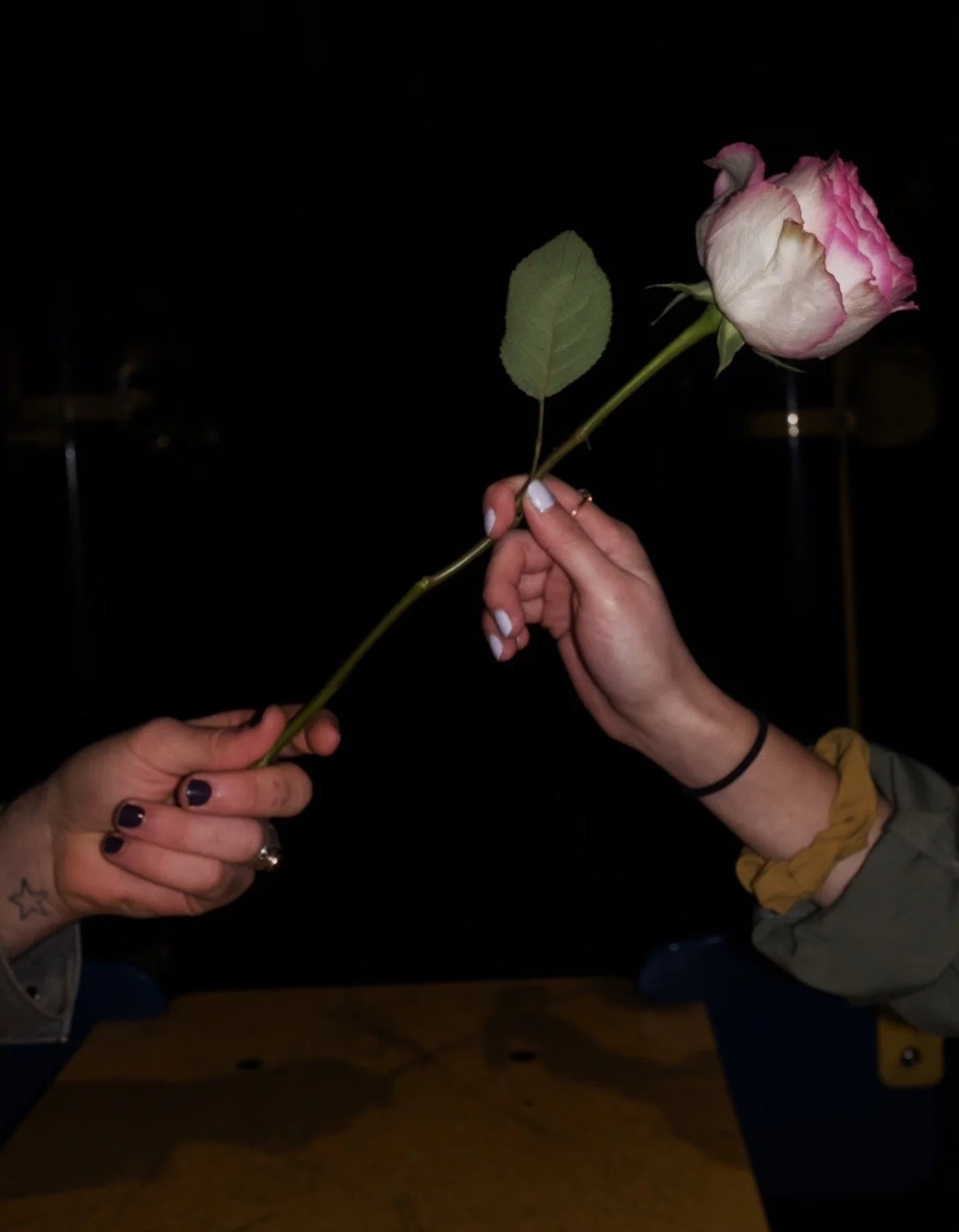 Two hands exchanging a pink and white rose against a dark background.