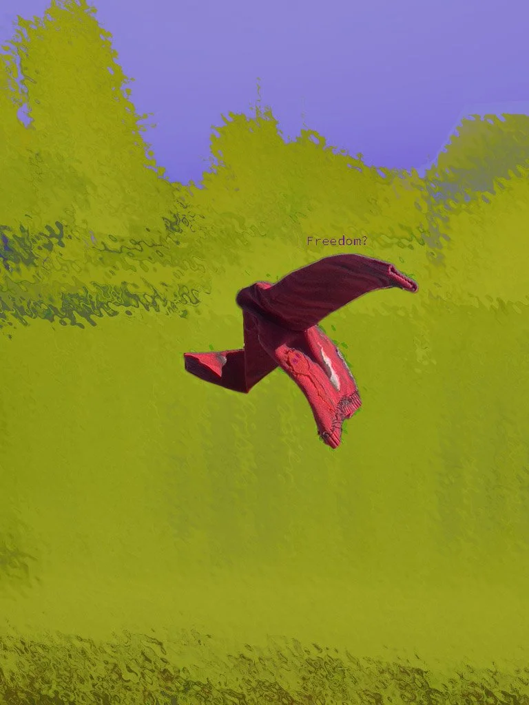 A person falling or flying through the air outdoors during daytime, with trees and a blue sky in the background. The word 'Freedom?' is written near the person.