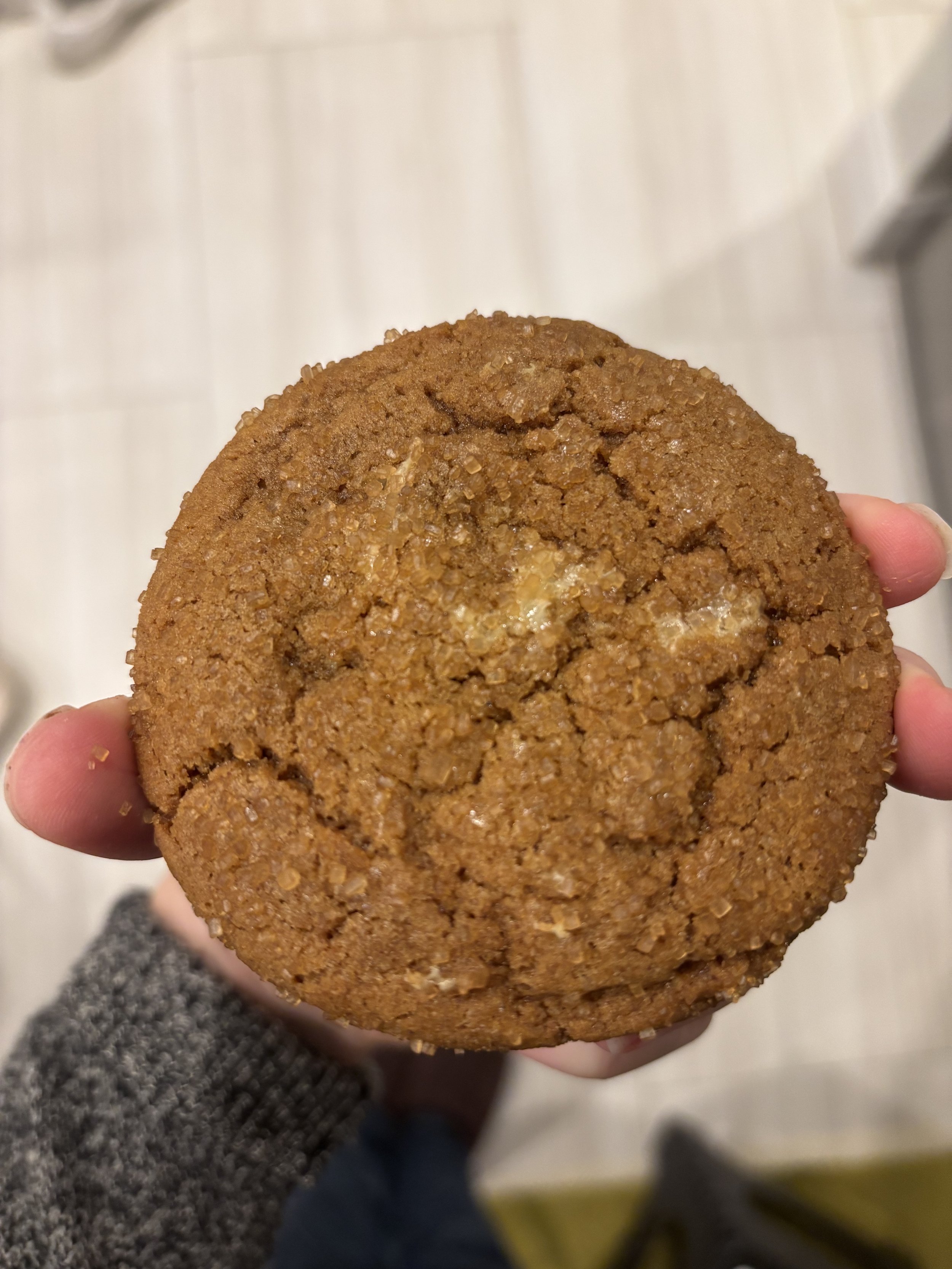 Gingerbread cheesecake cookie